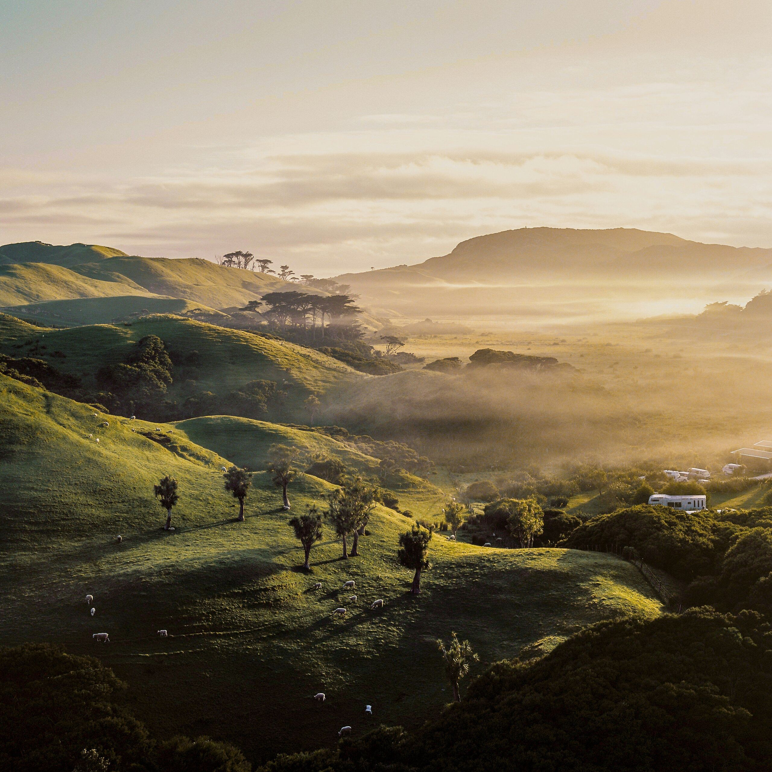  Unsplash
