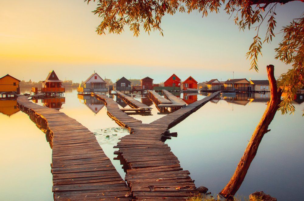 Fotó: Shutterstock