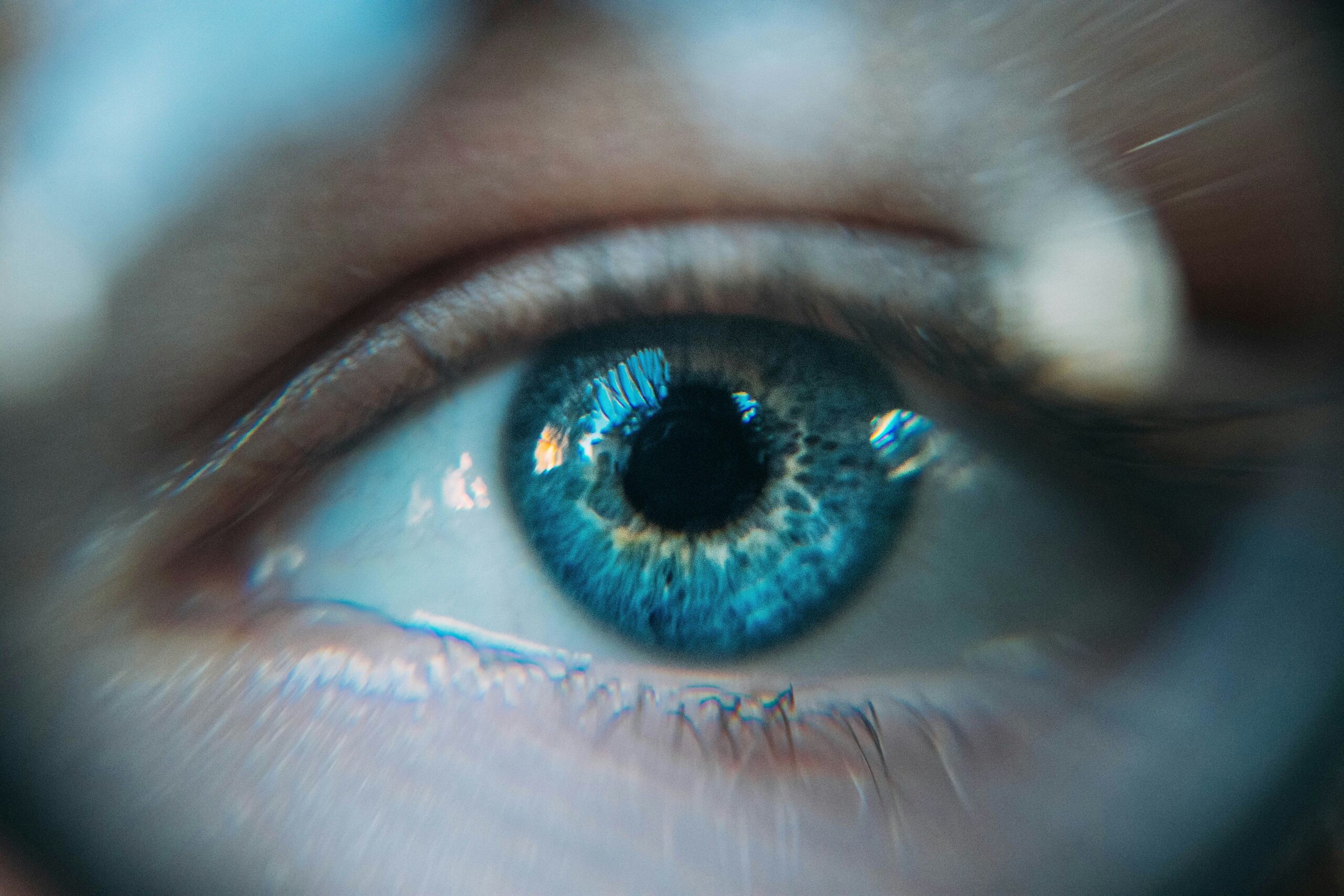 Fotó: Ion Fet/Unsplash