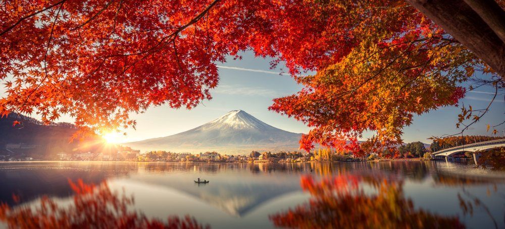 Fotó: Shutterstock