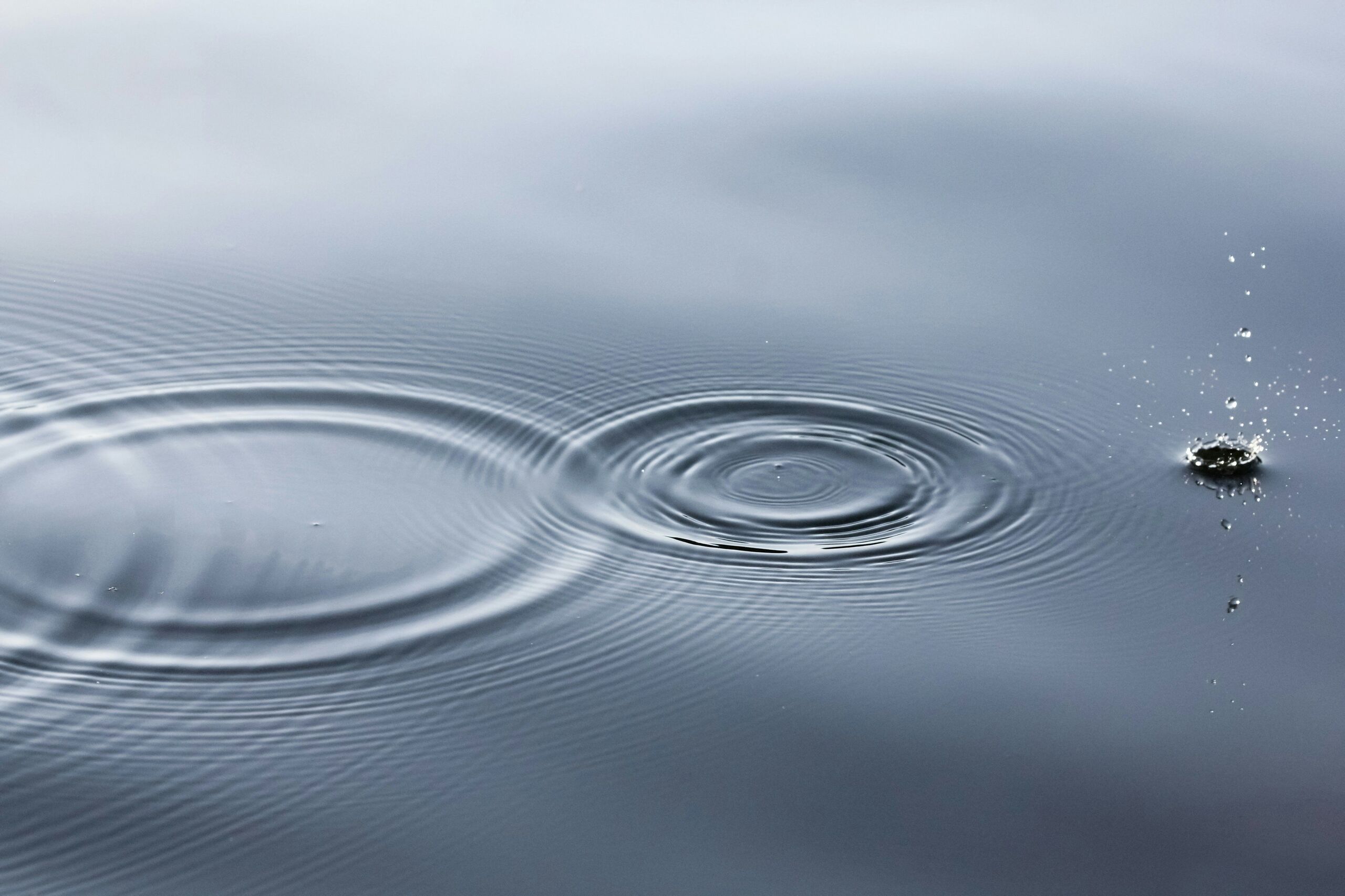 Unsplash