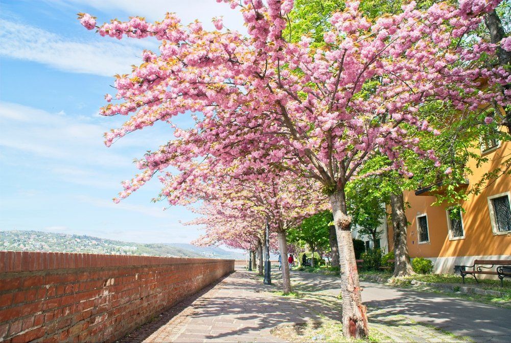 Fotó: Shutterstock