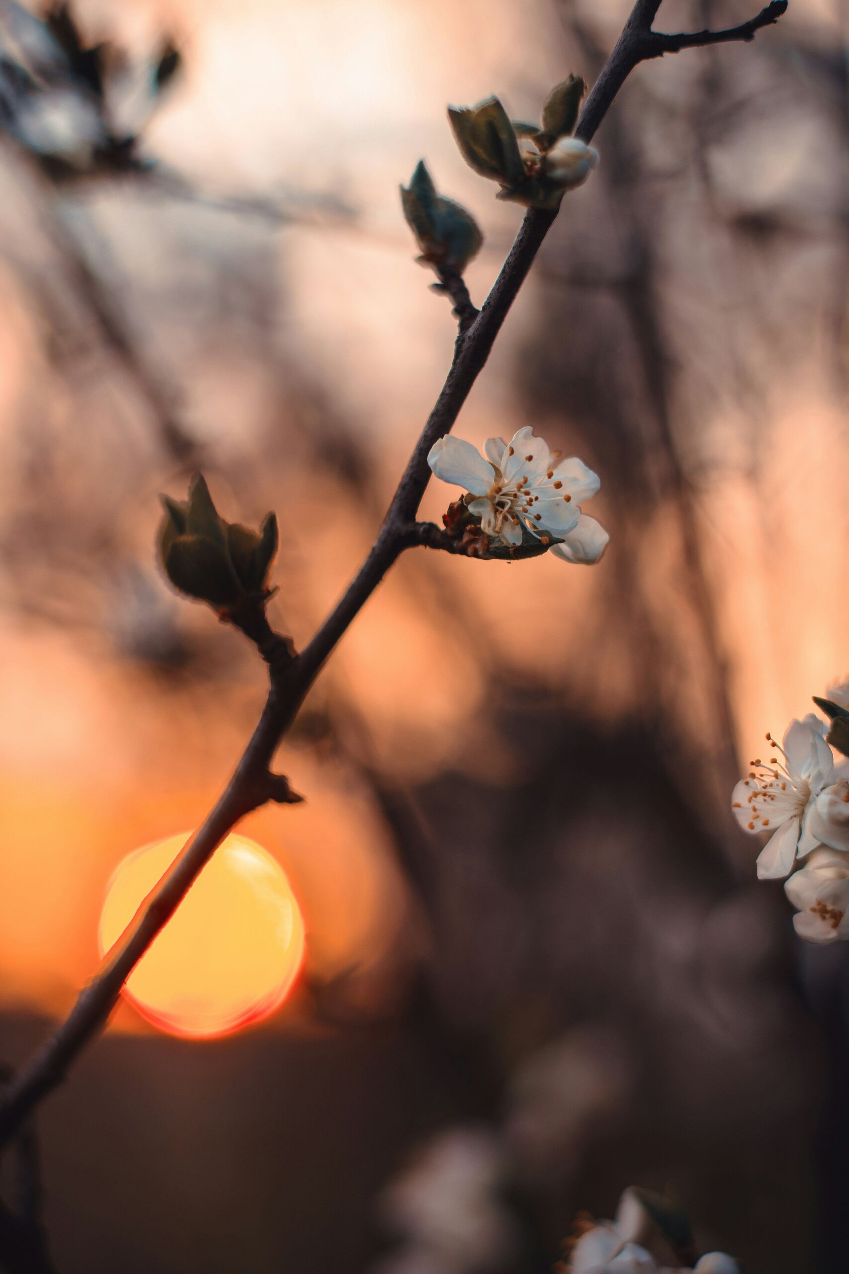  Unsplash