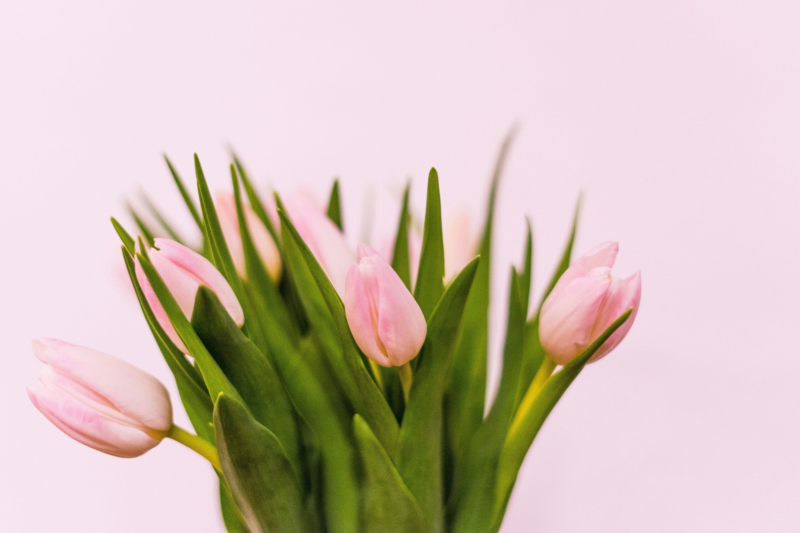 Photo by Artiom Vallat on Unsplash