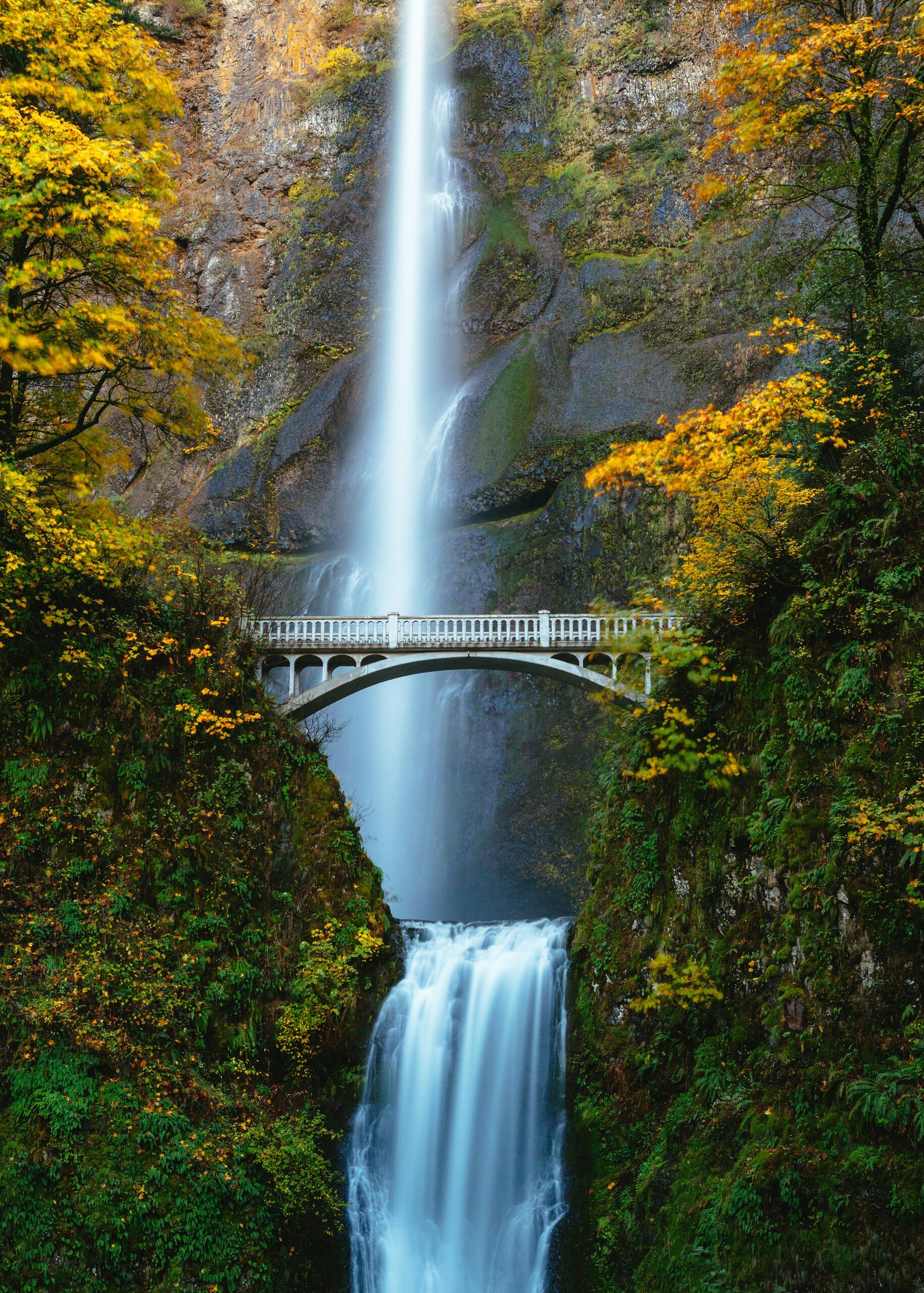 Unsplash