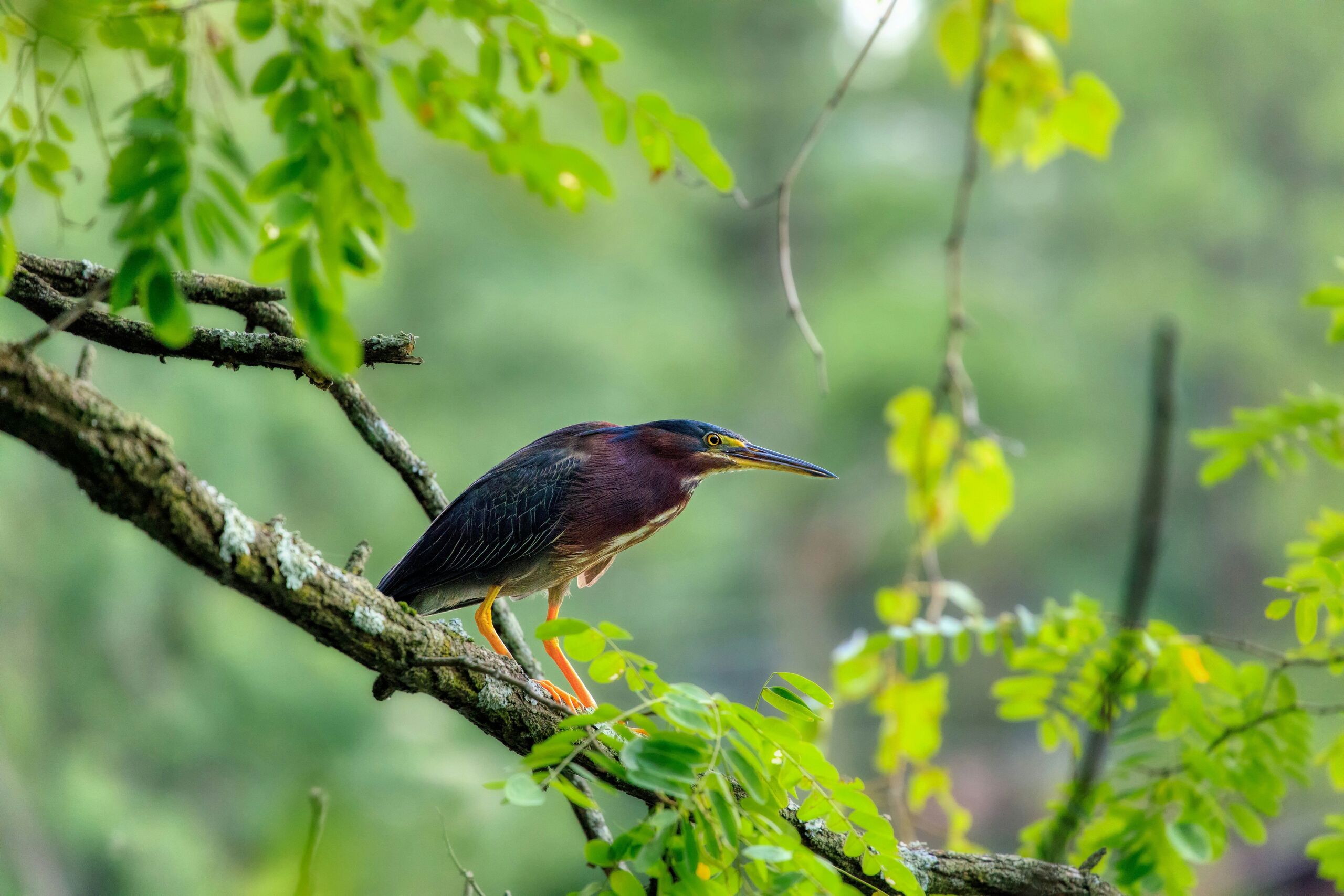 Photo by Charles Jackson on Unsplash