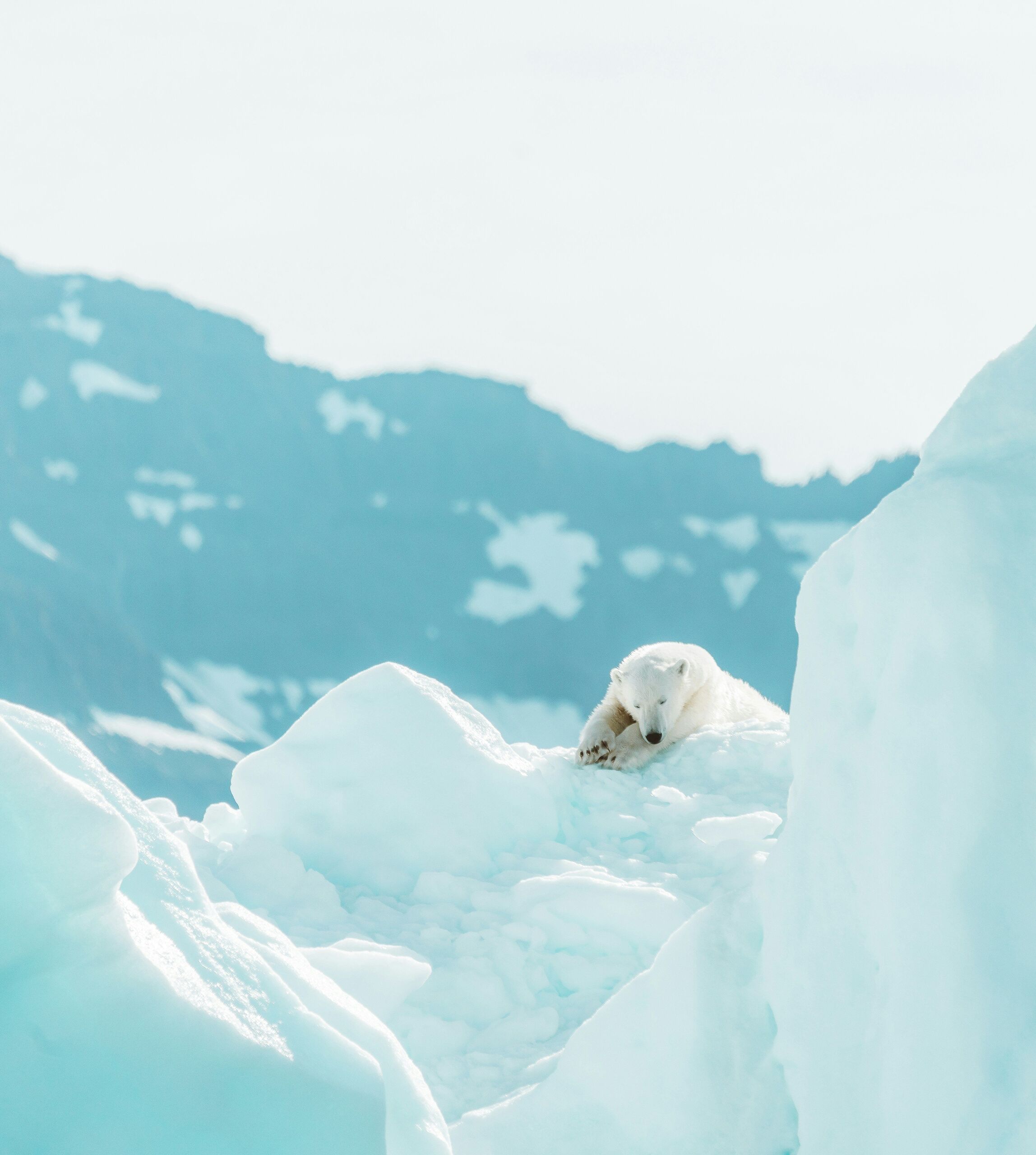 Fotó: Annie Spratt/Unsplash