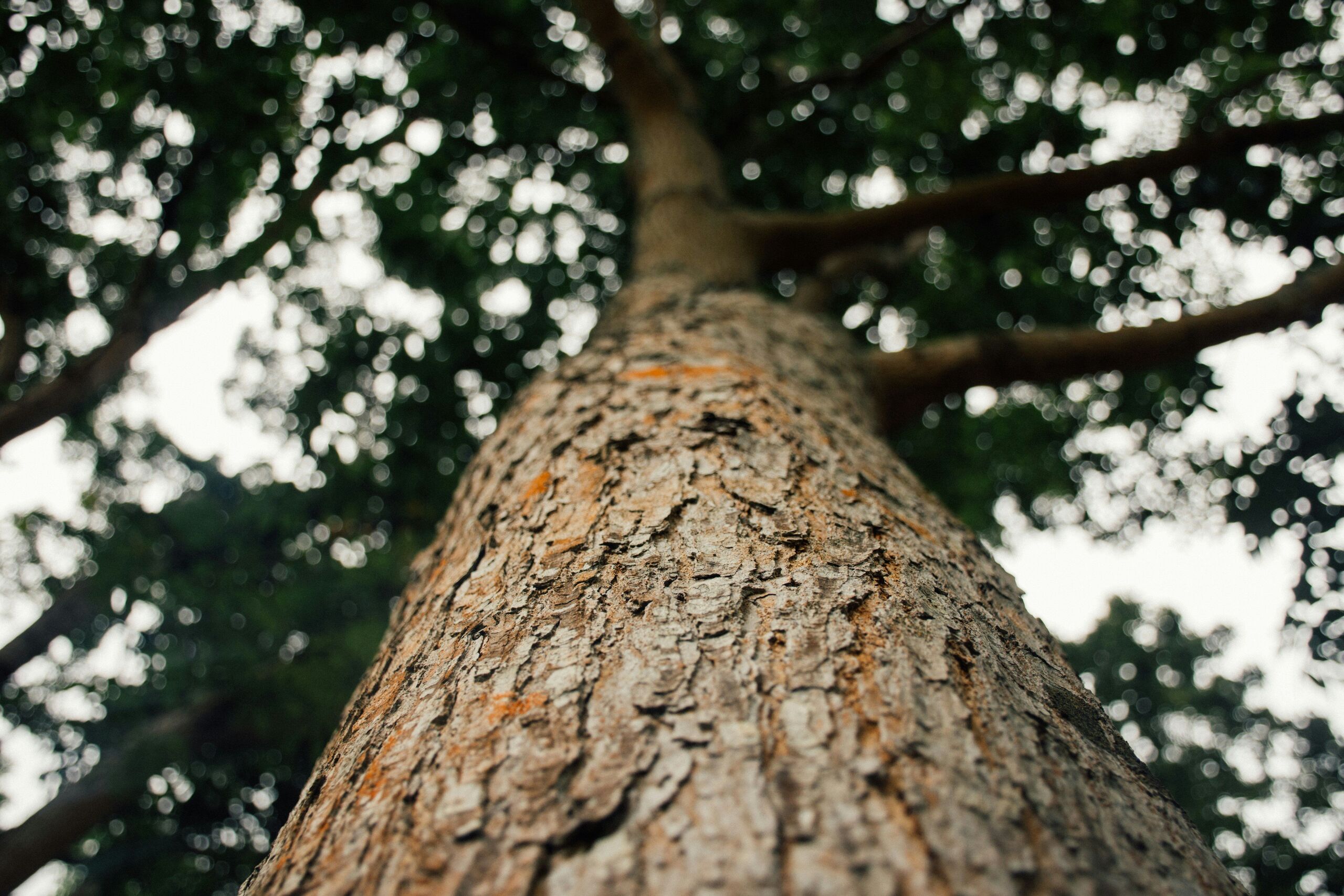 Luke Ow/Unsplash