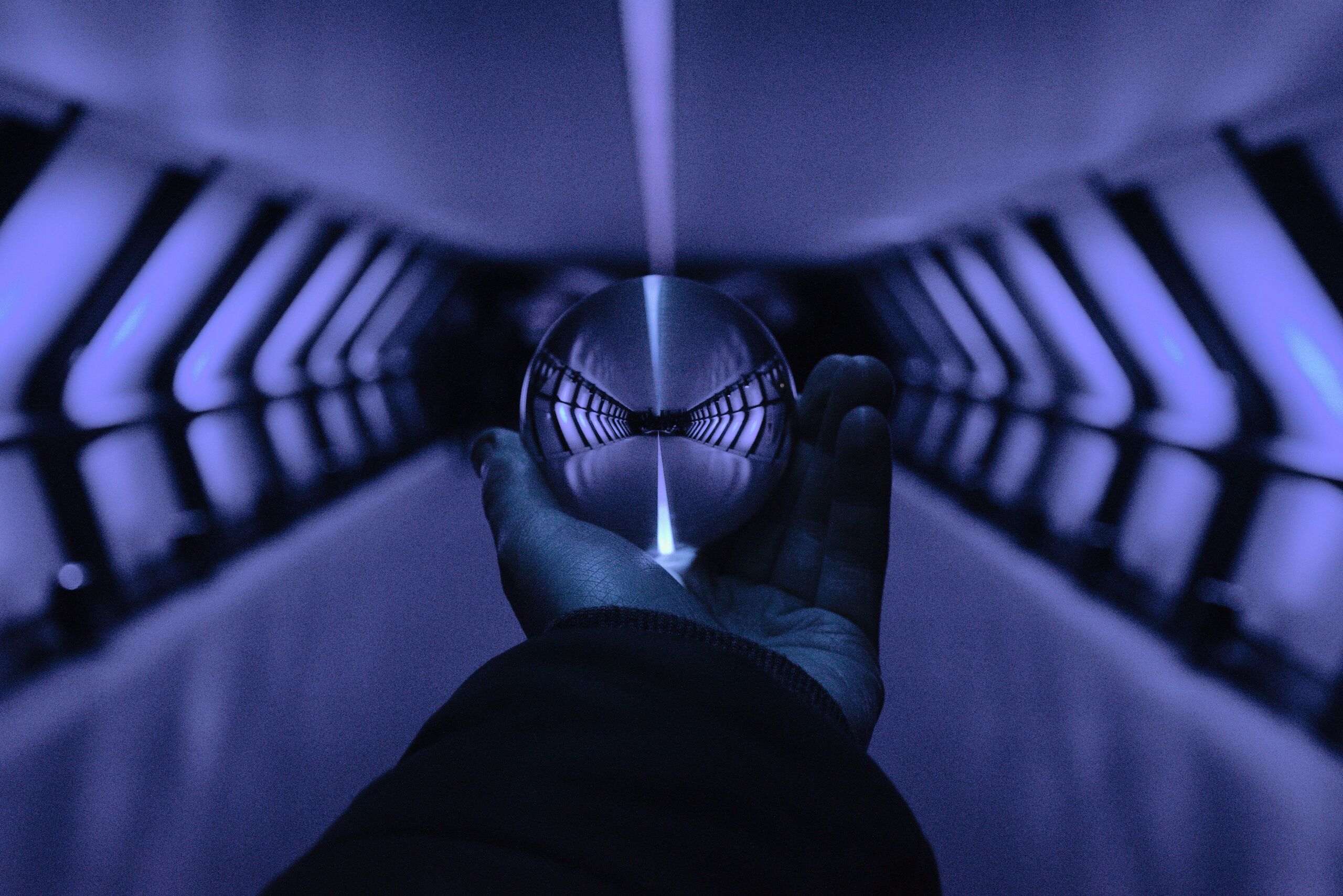Unsplash / James Langley