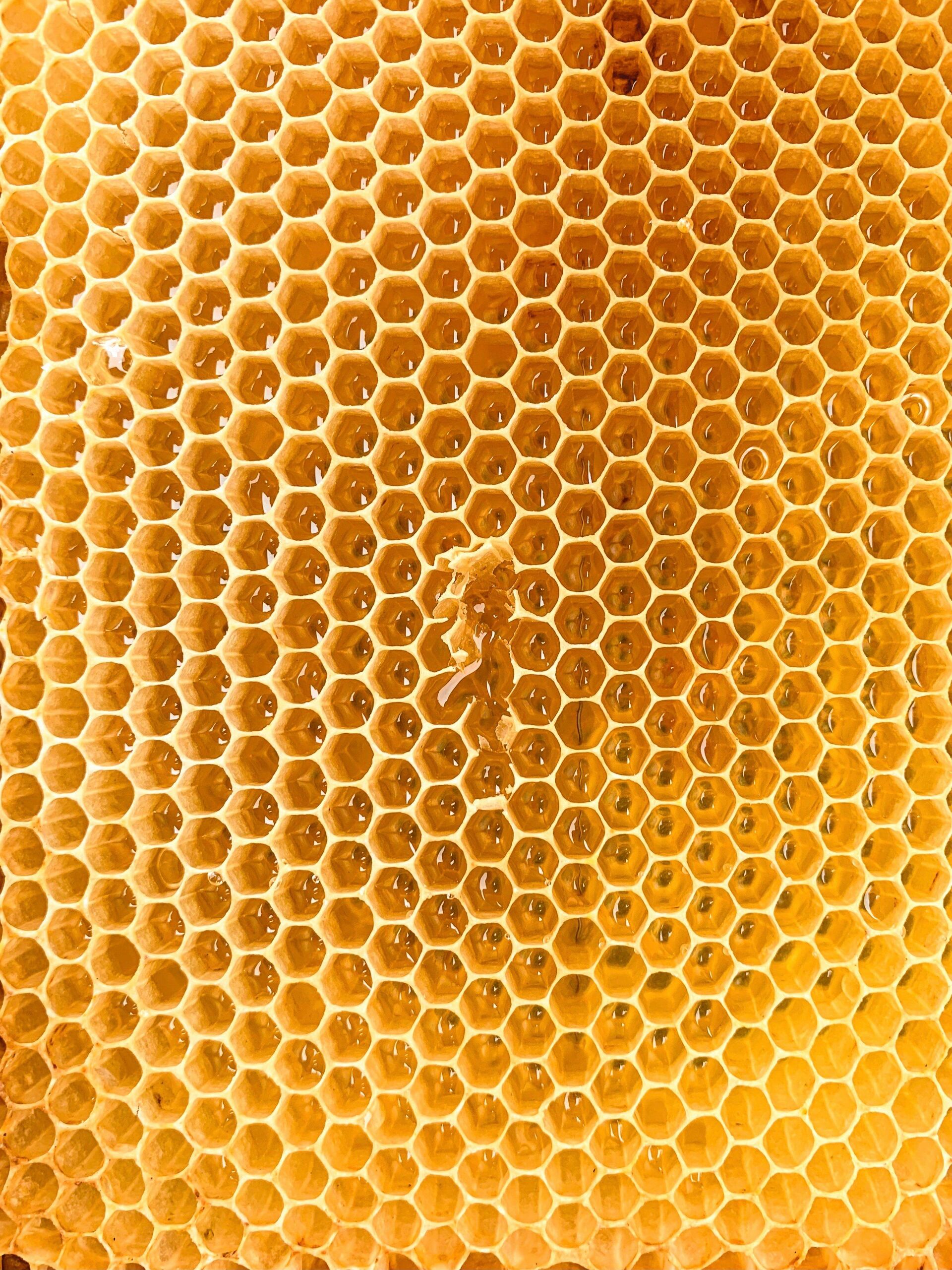 Fotó: Jonas Hensel/Unsplash