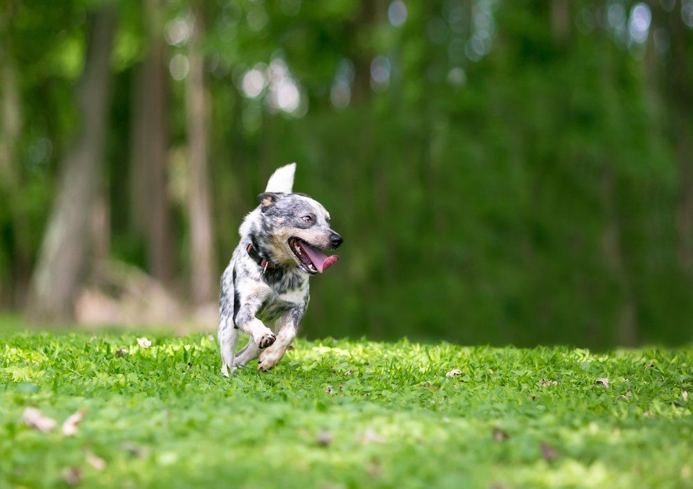 Fotó: Shutterstock