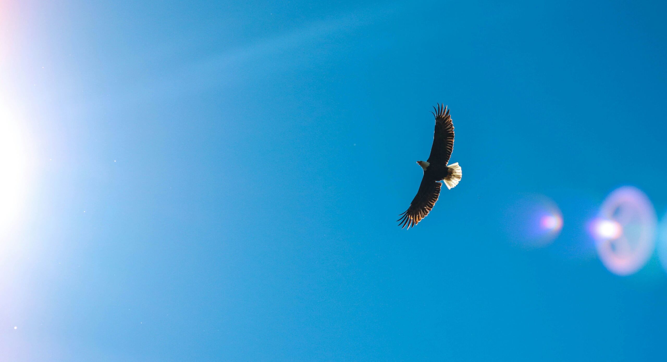 Fotó: Rachel McDermott/Unsplash