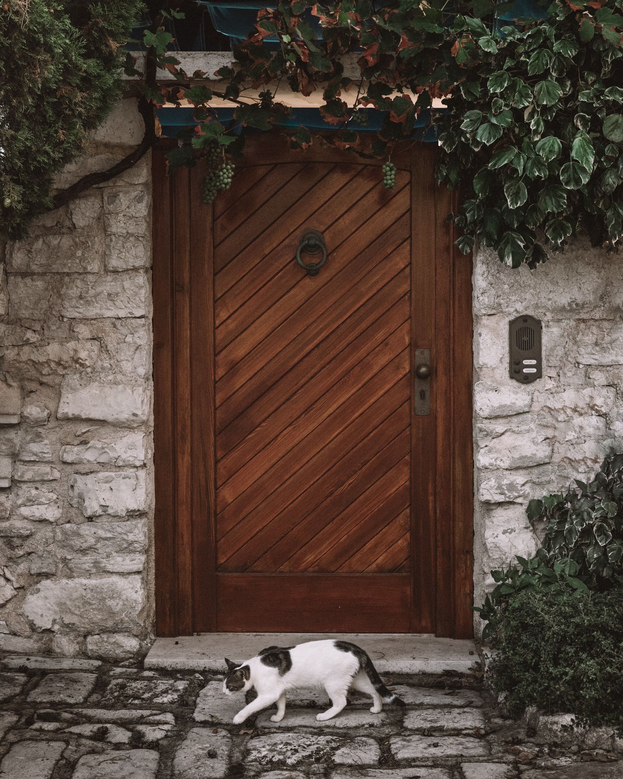 Fotó: Justin Luebke/Unsplash
