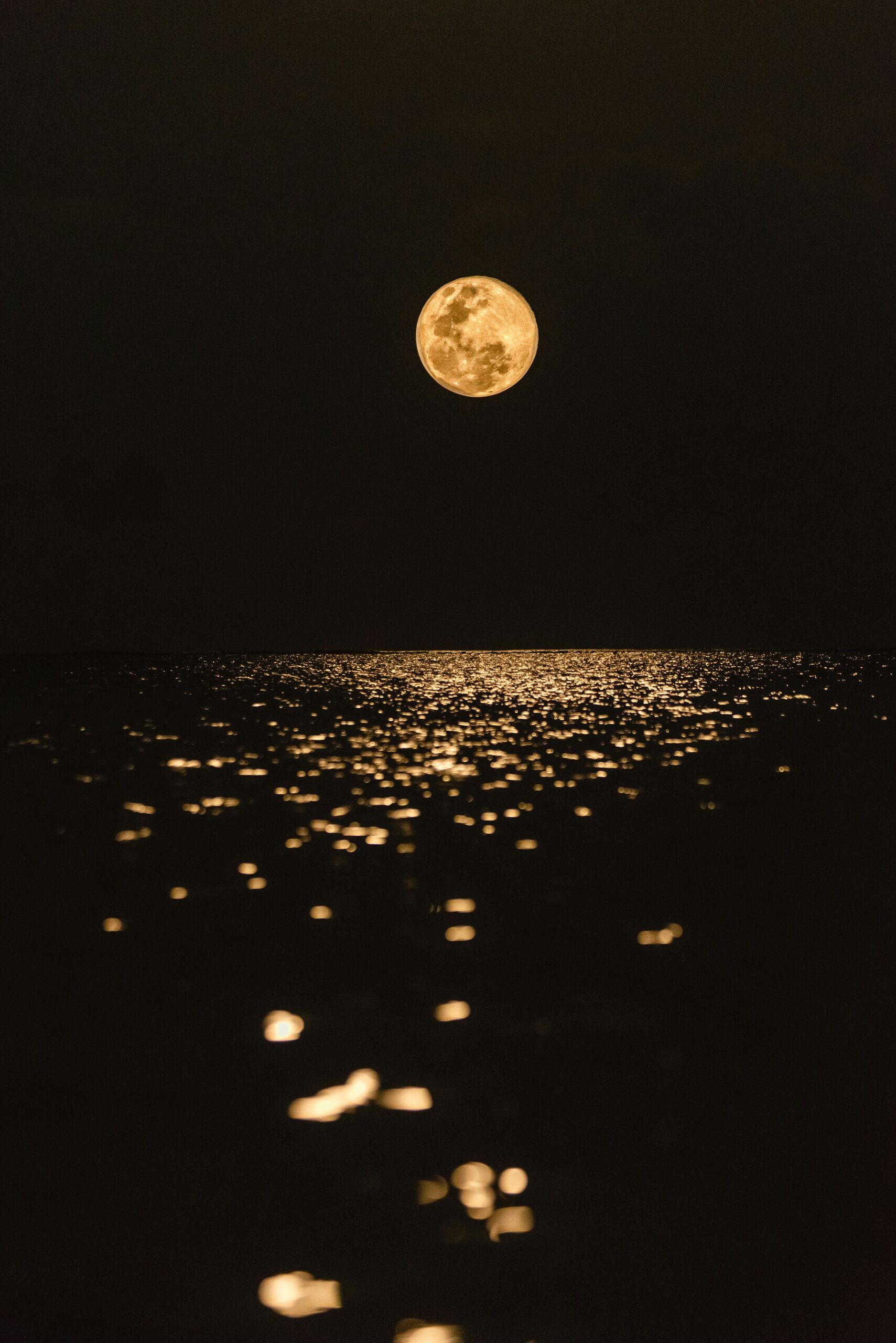  Unsplash