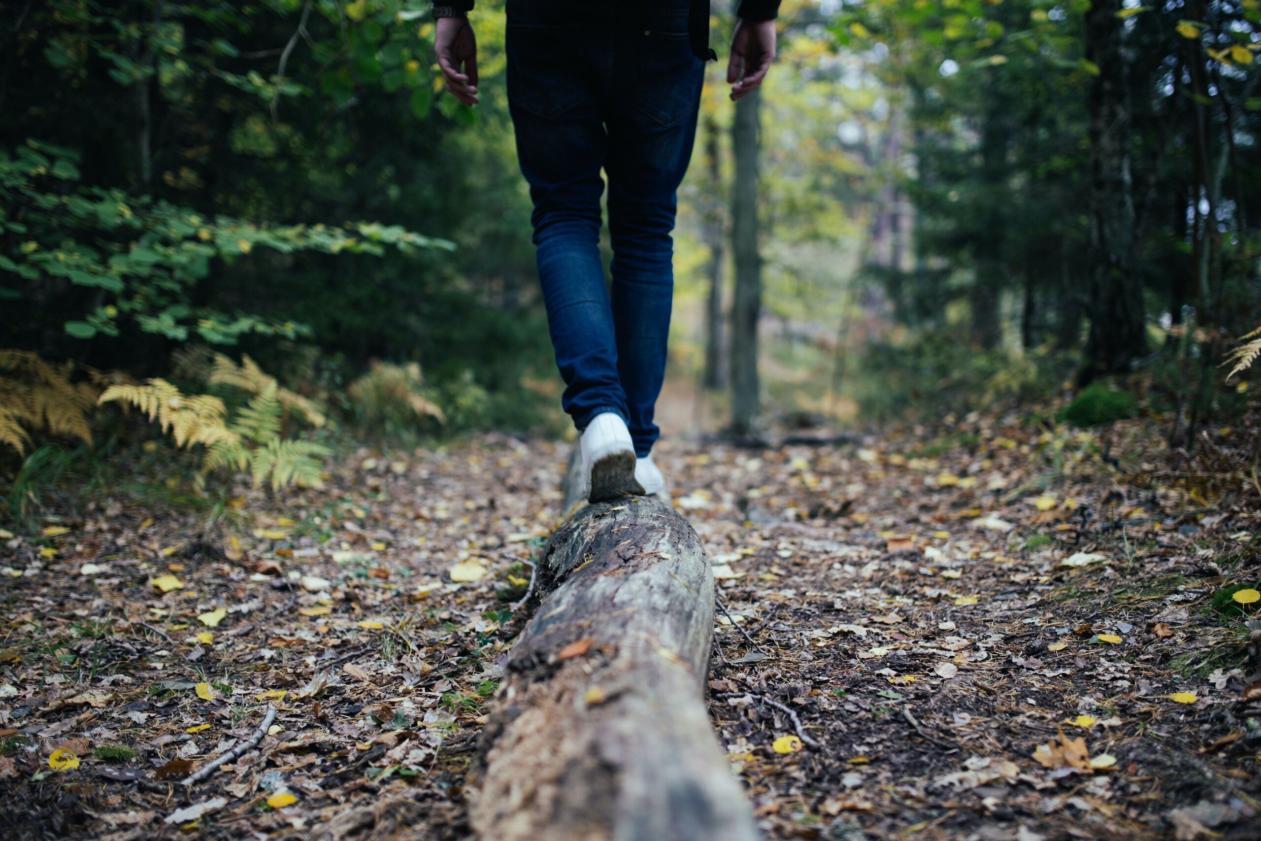 Fotó: Jon Flobrant/Unsplash