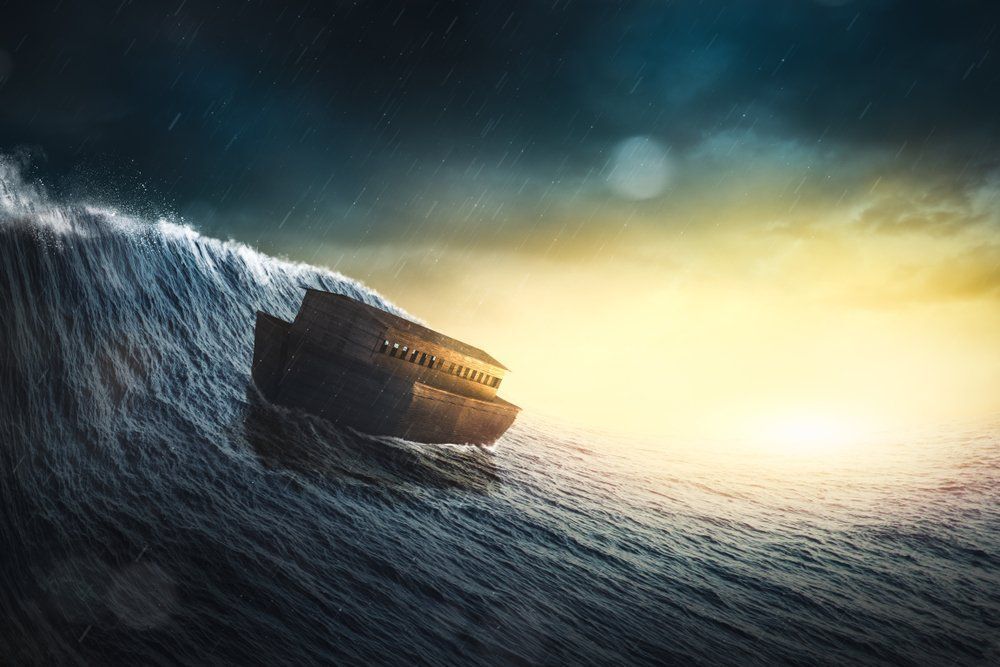 Fotó: Shutterstock