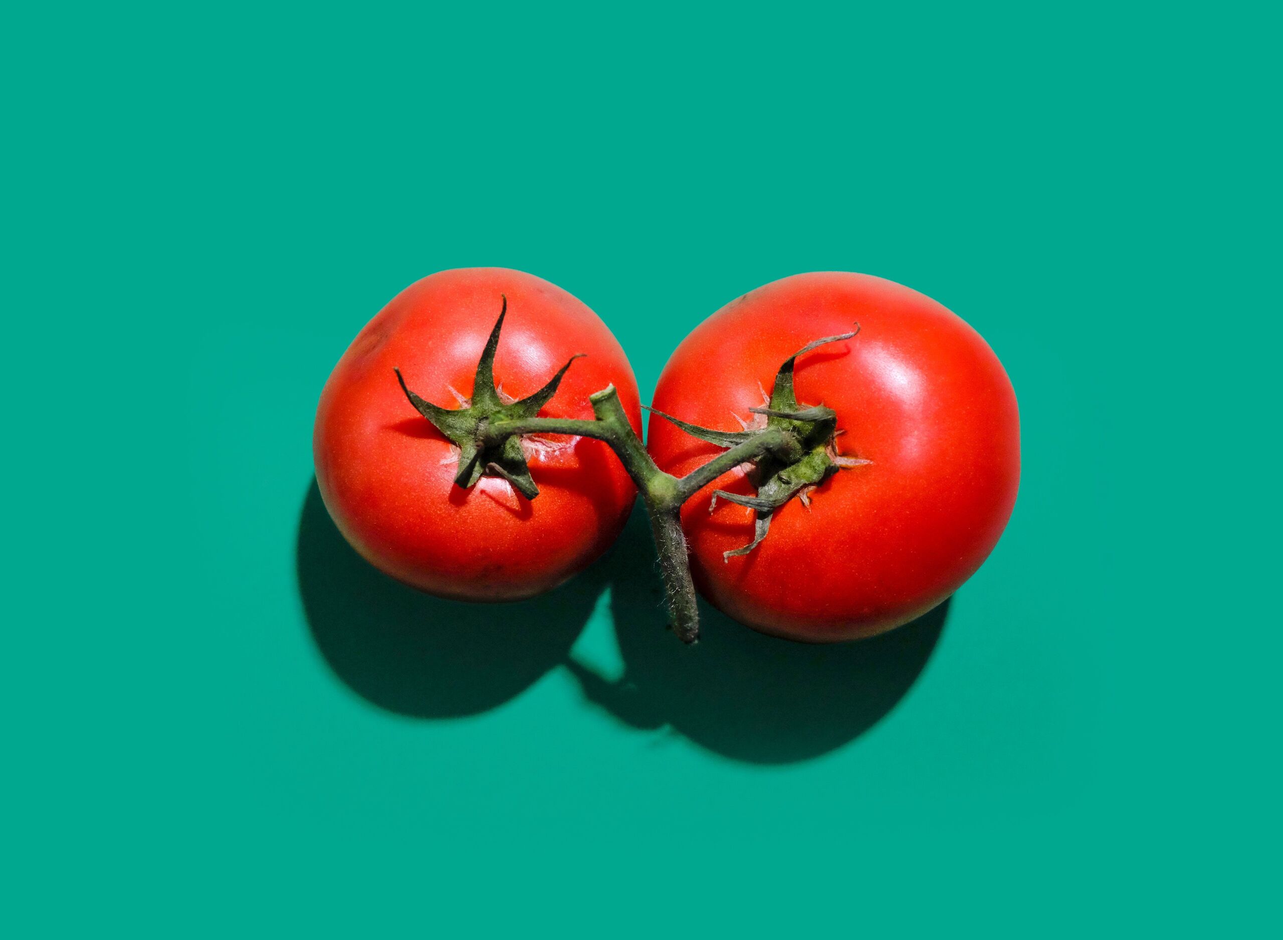 Fotó: おにぎり/Unsplash