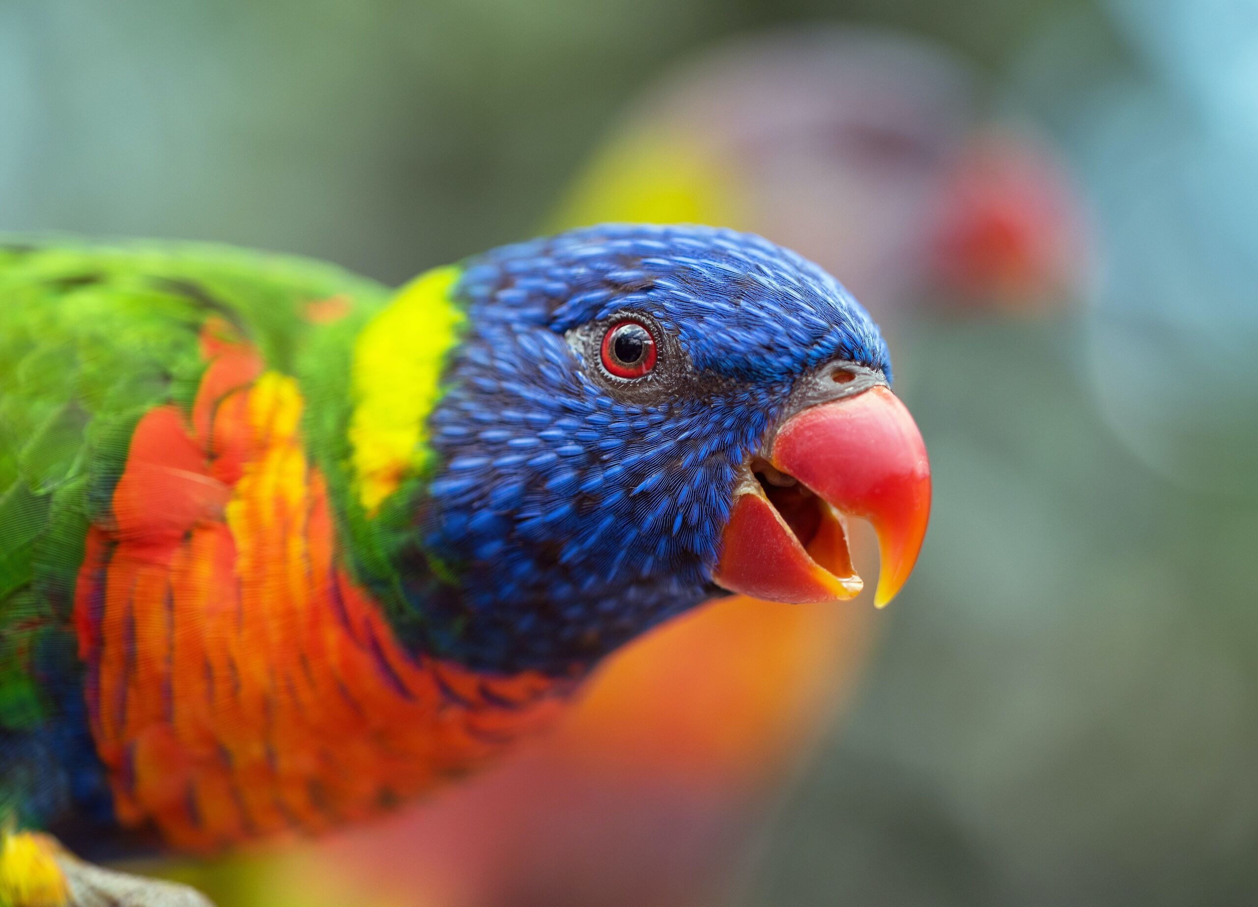  David Clode/Unsplash