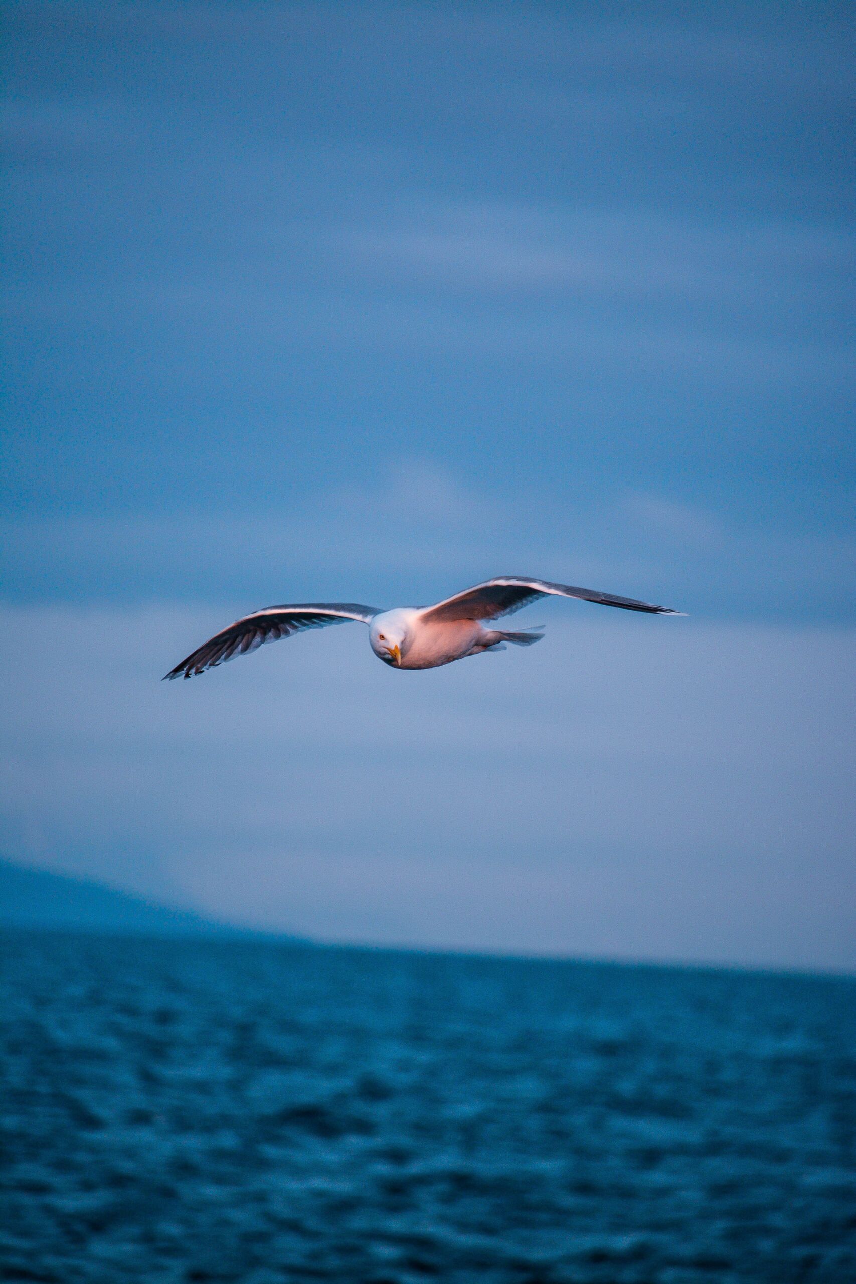 Fotó: Alain Rieder/Unsplash