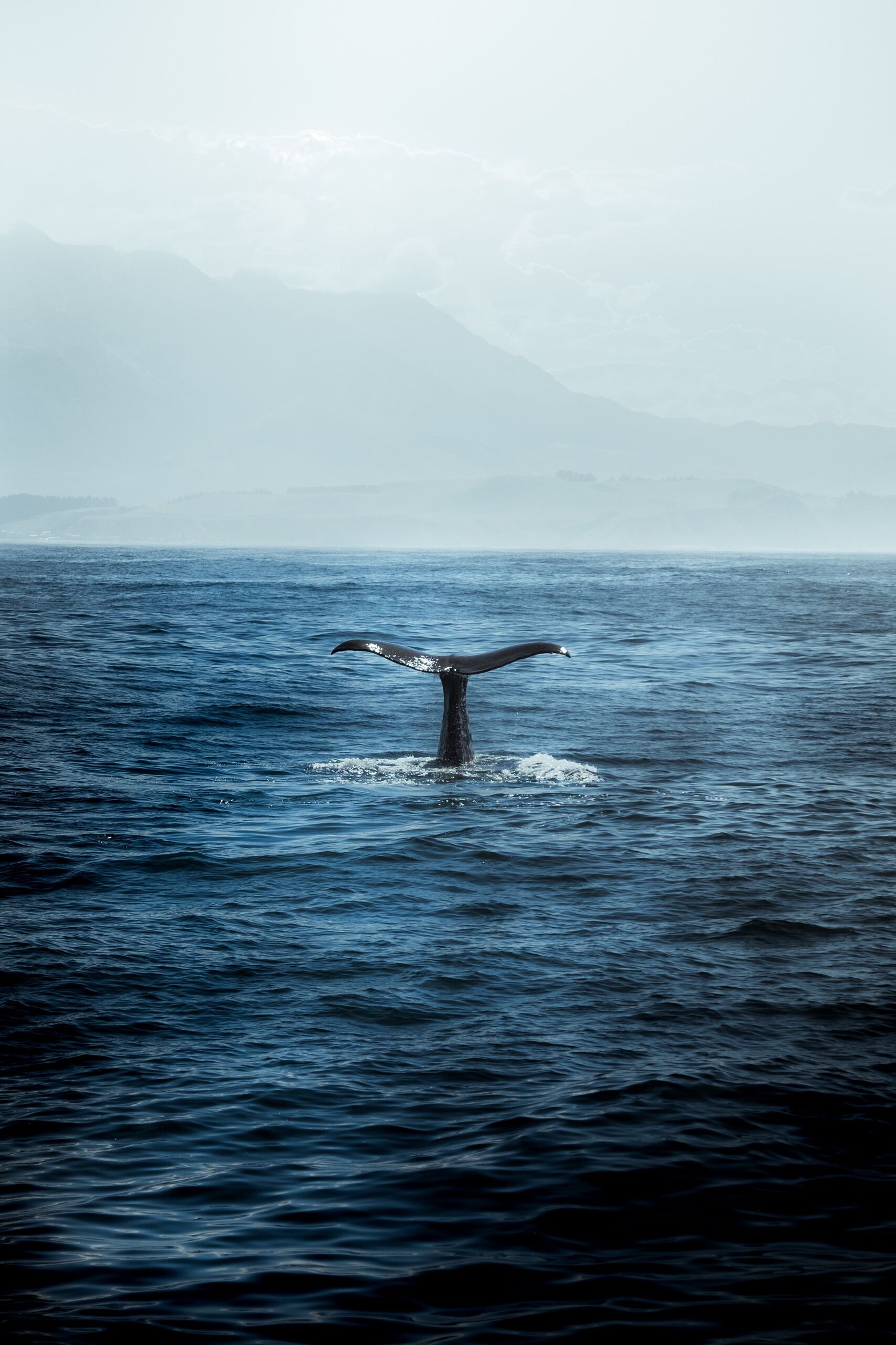 Iswanto Arif/Unsplash