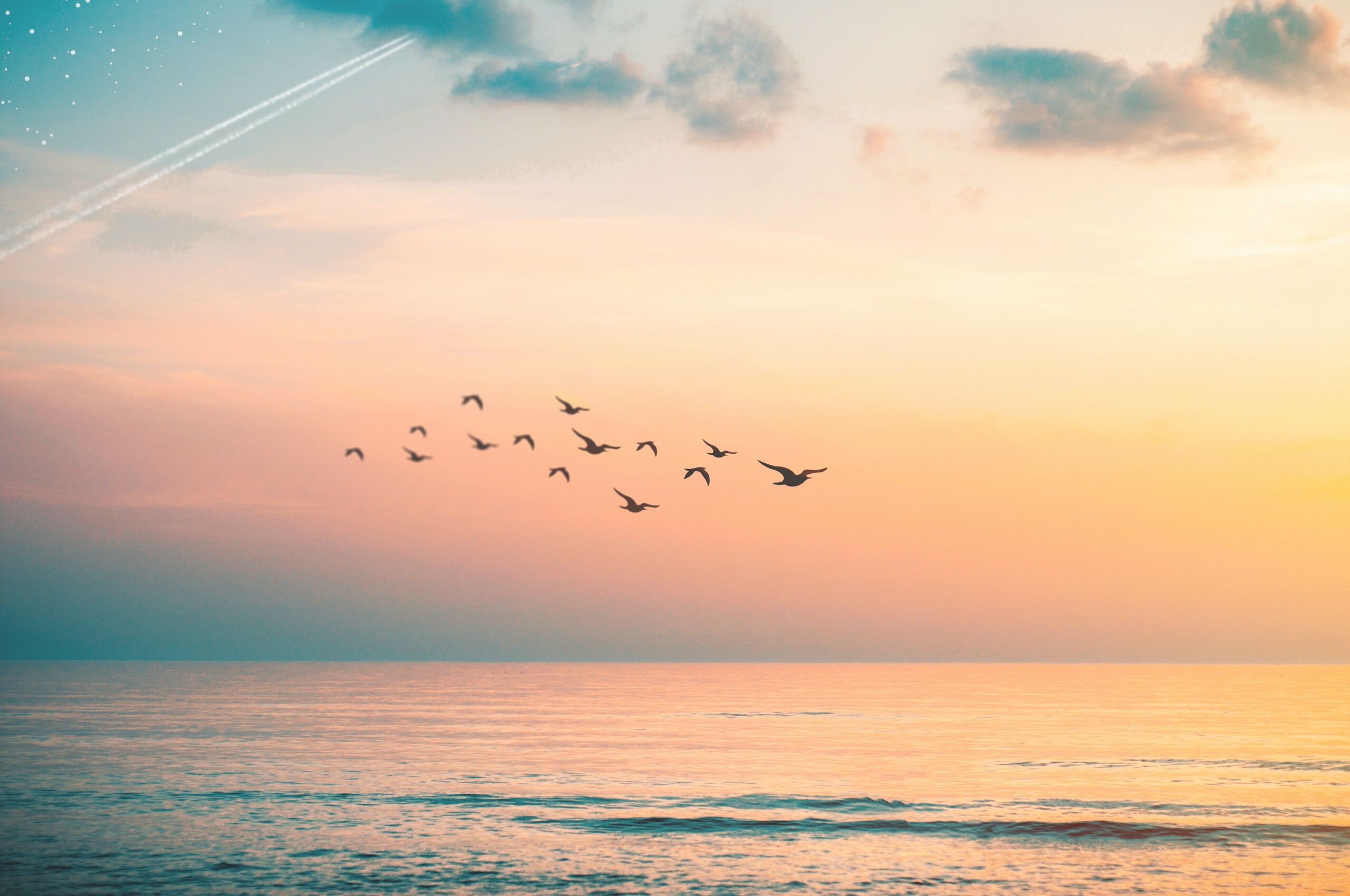 Tomas Kirvėla/Unsplash