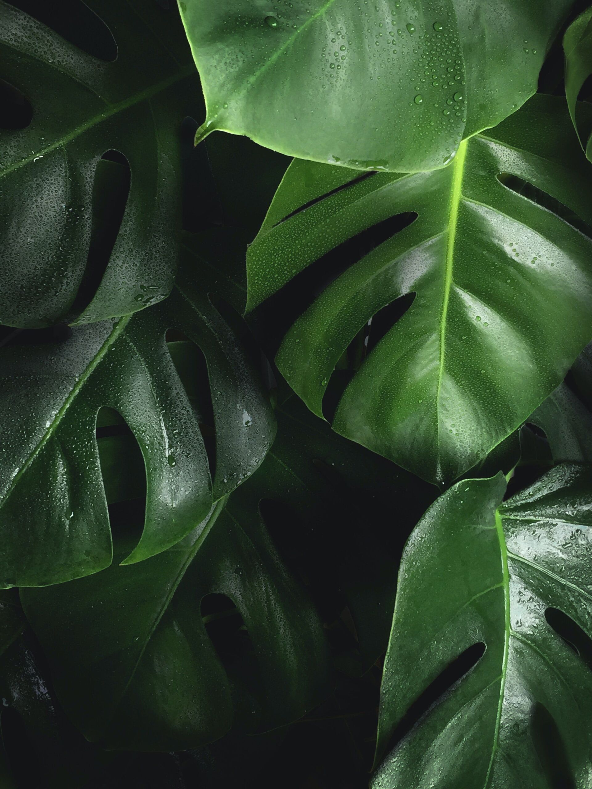 Bart Zimny/Unsplash