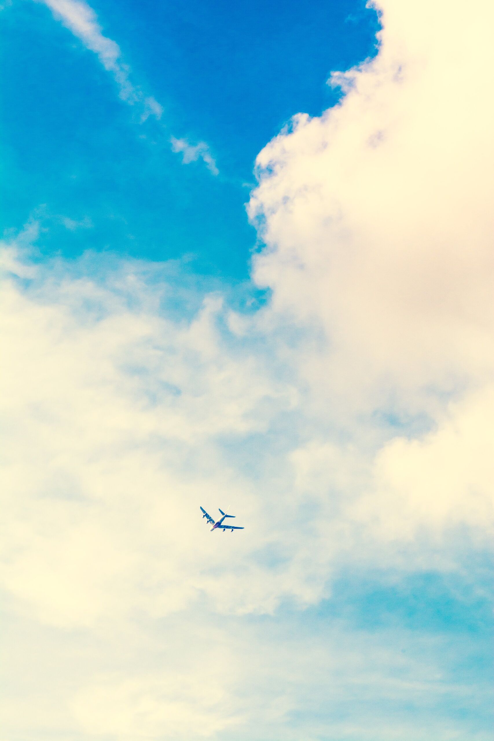 Fotó: Adam Birkett/Unsplash