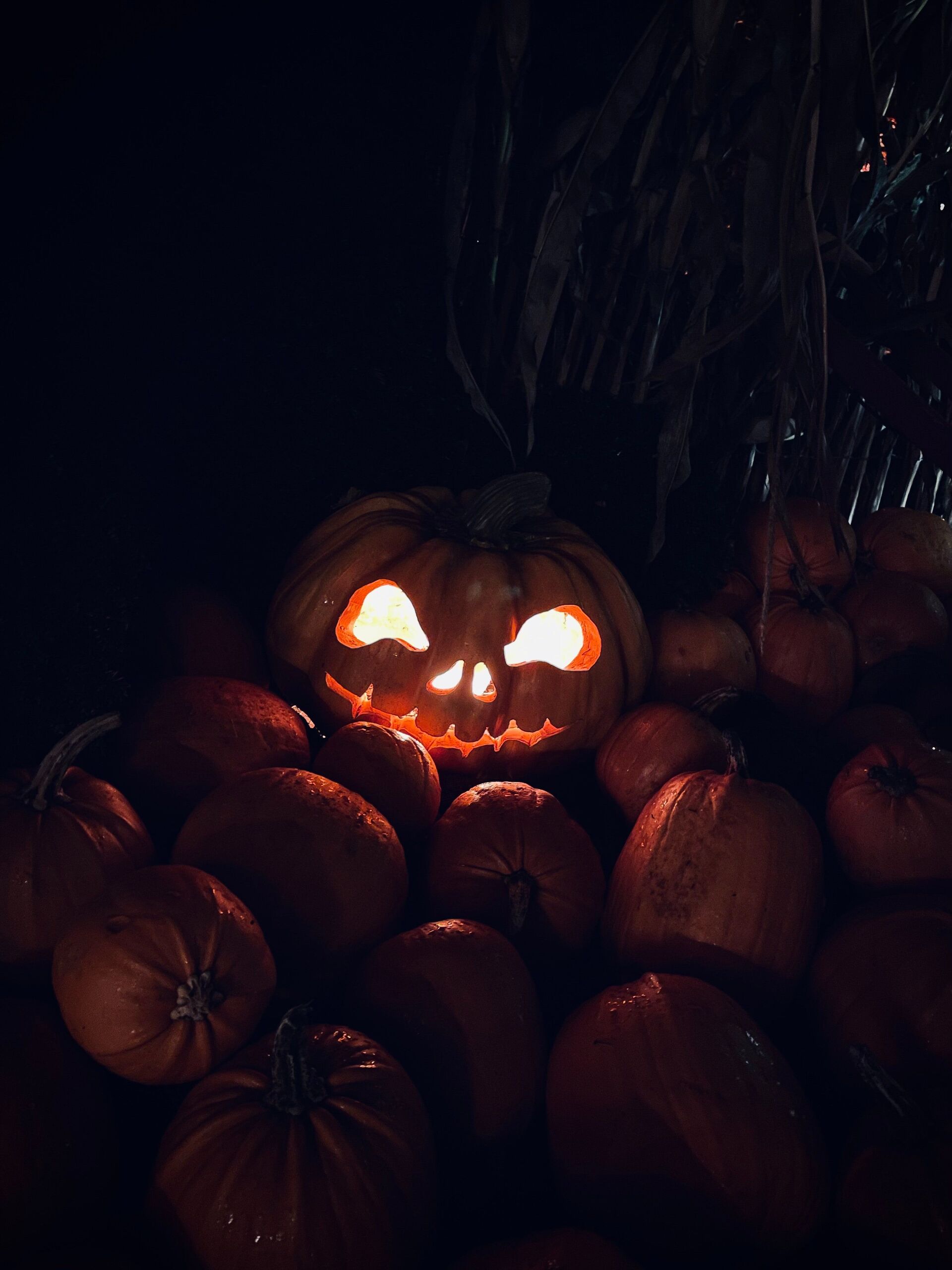 Emilia Willberg/Unsplash