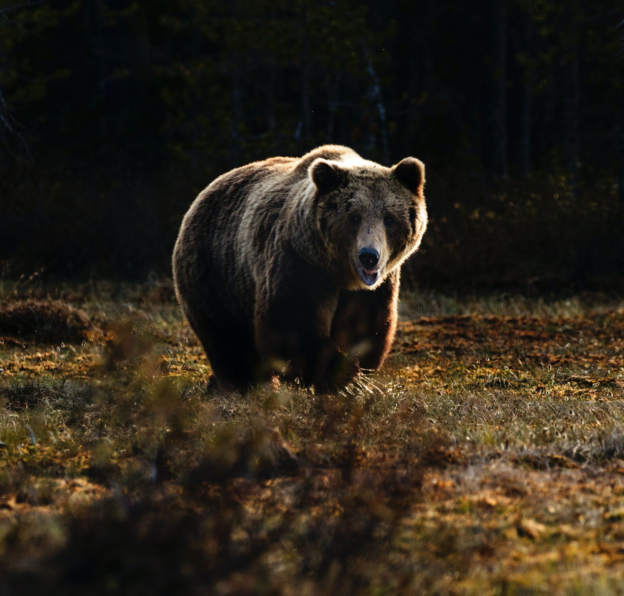  Zdeněk Macháček/Unsplash