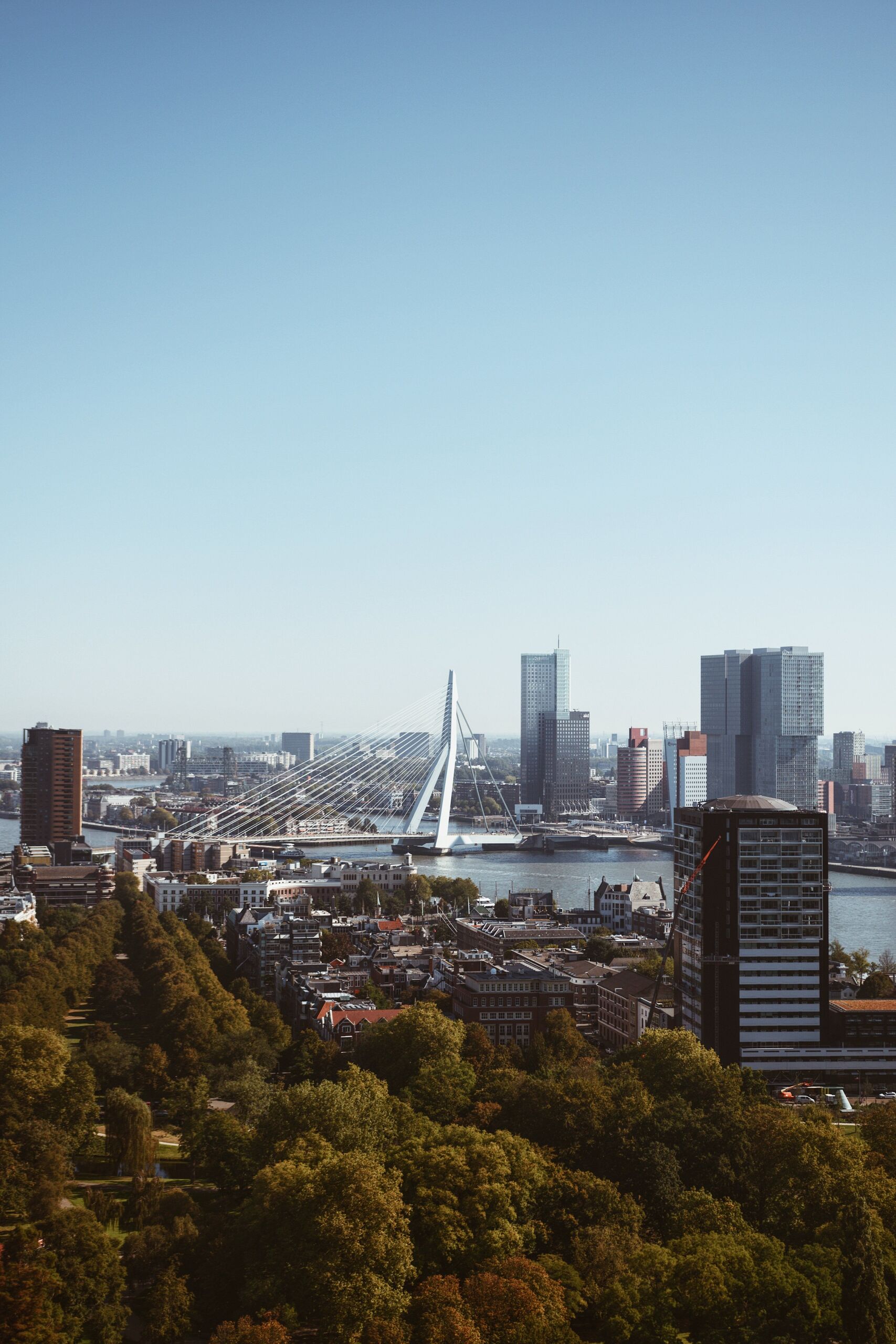 Flori & Almi Weit.Gereist/Unsplash