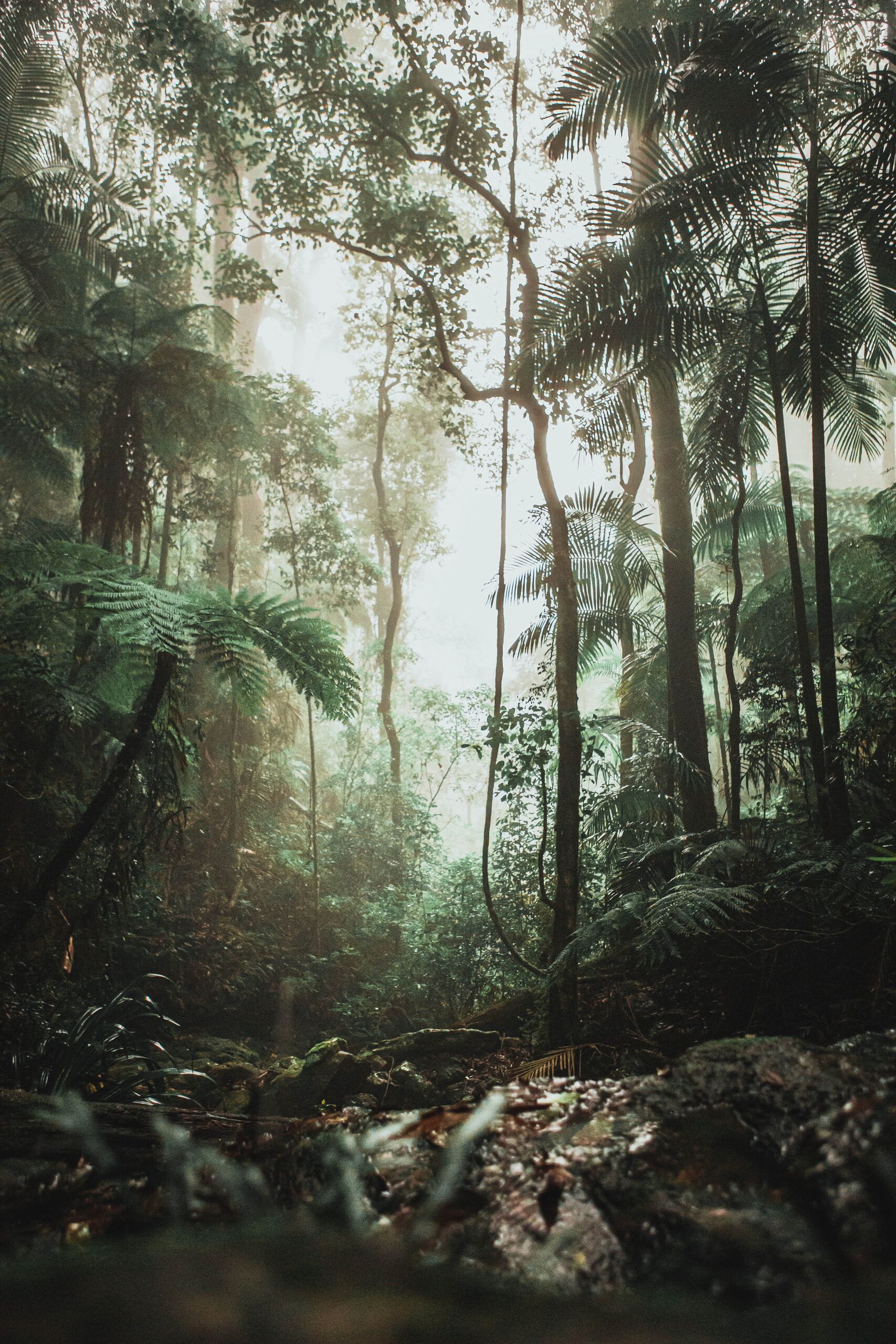 Justin Clark/Unsplash