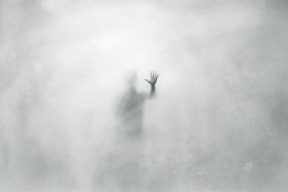 Fotó: Shutterstock