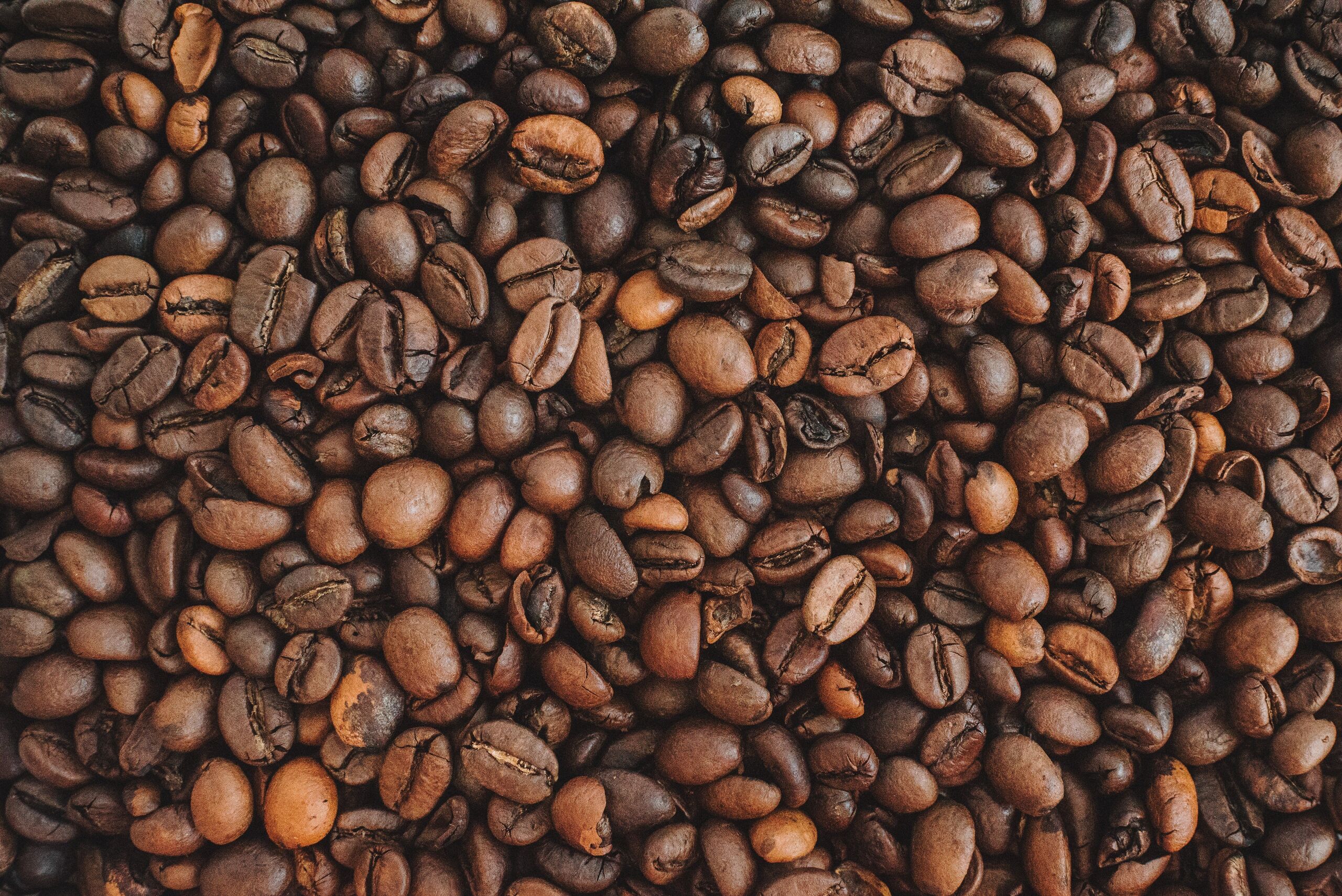 Fotó: Anastasiia Chepinska / Unsplash
