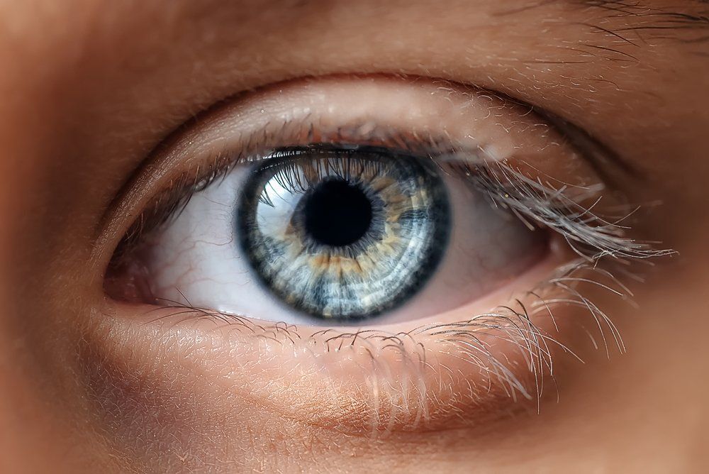 Fotó: Shutterstock