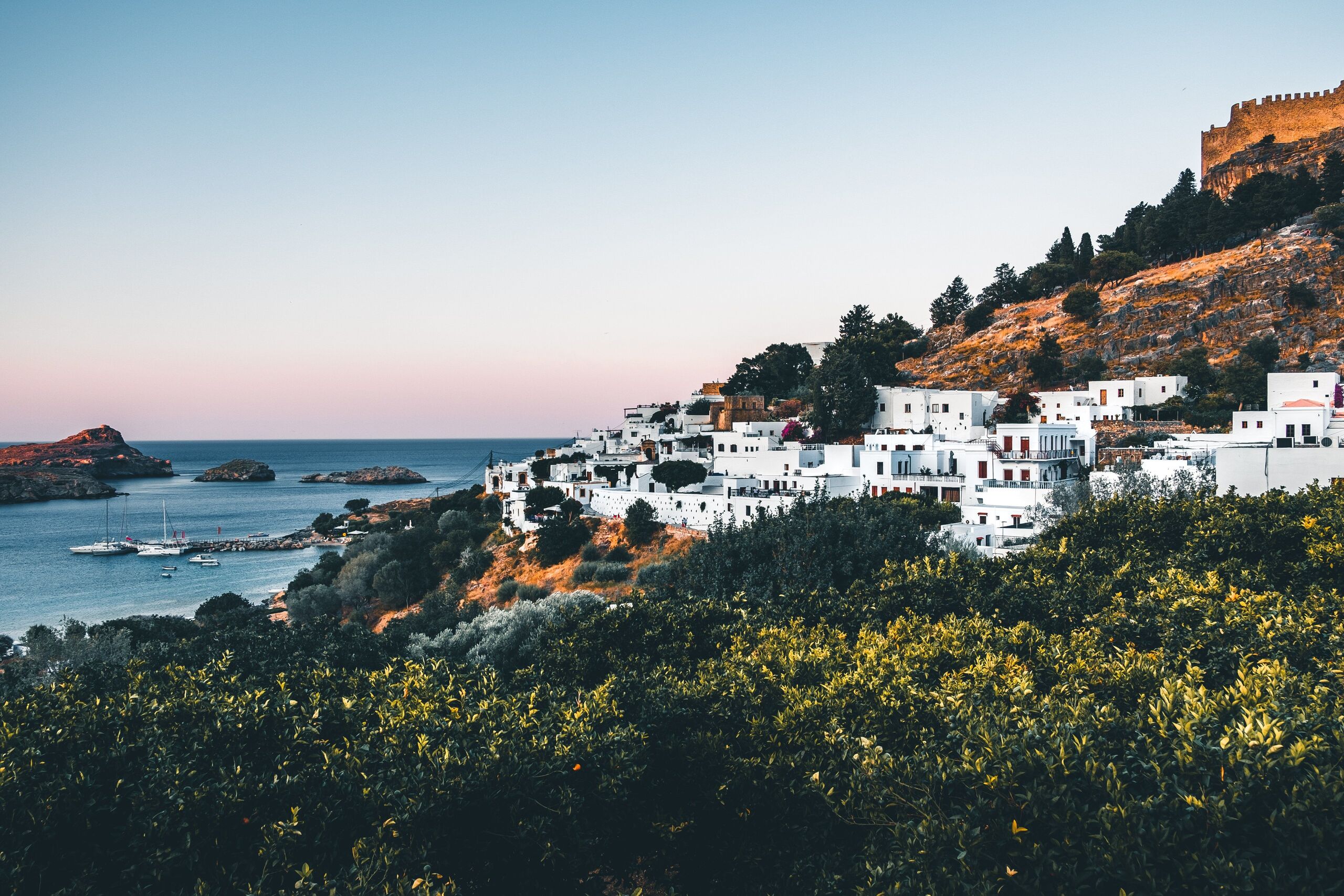  Unsplash