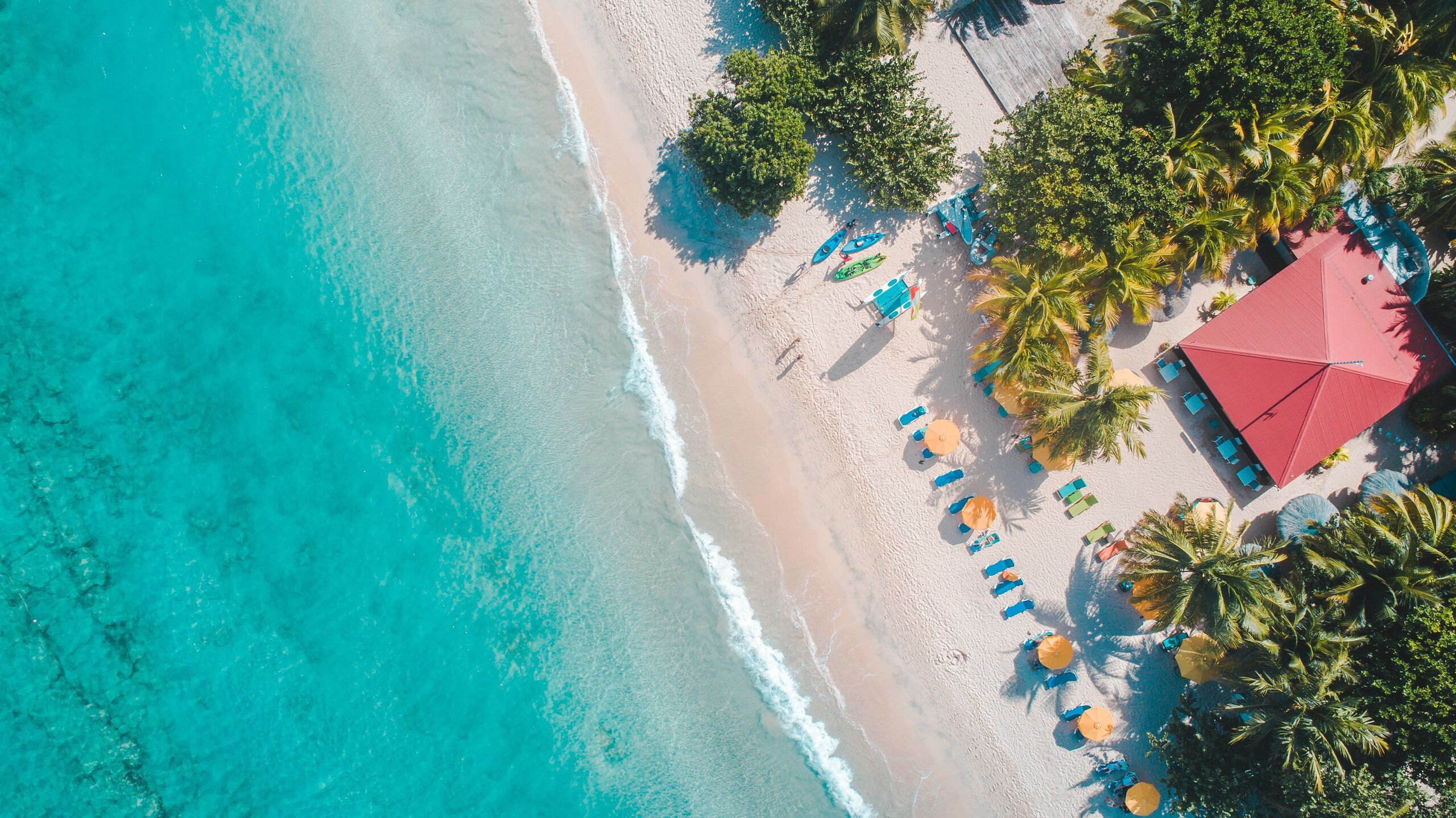 Fotó: Hugh Whyte/Unsplash