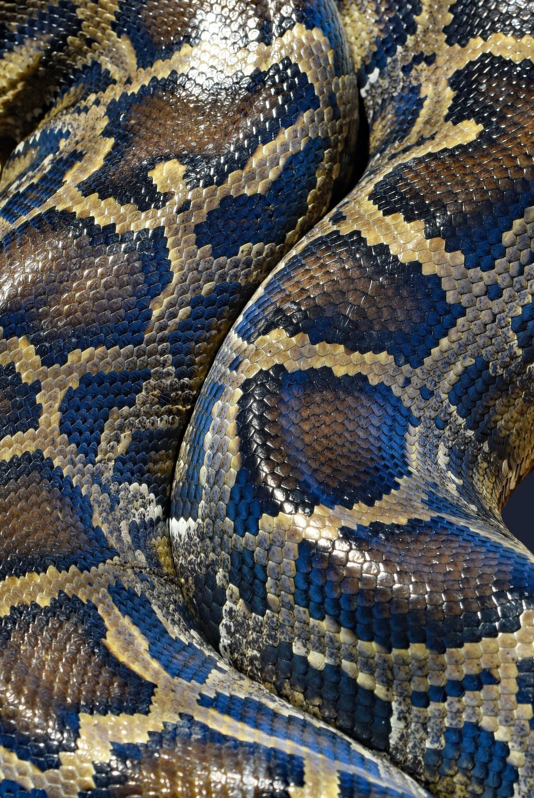 Fotó: David Clode/Unsplash