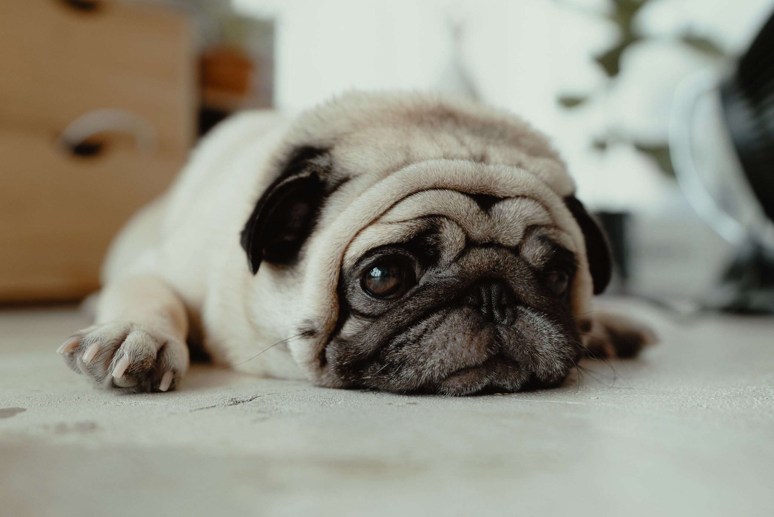 JC Gellidon/Unsplash