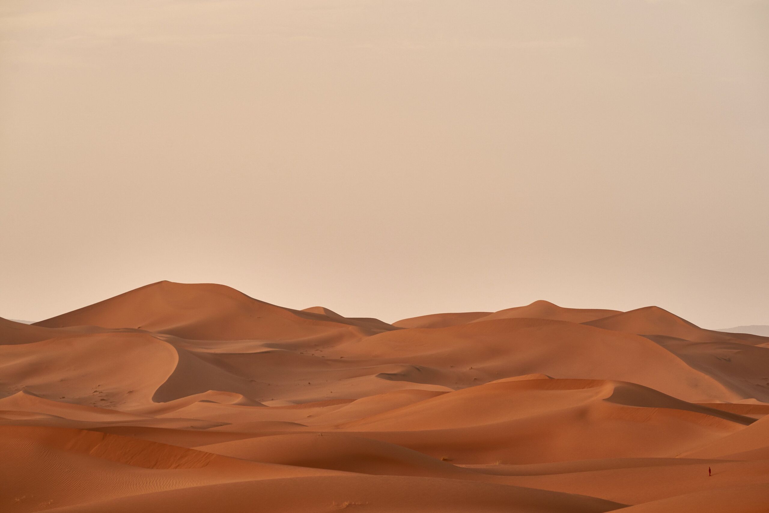  Wolfgang Hasselmann/Unsplash