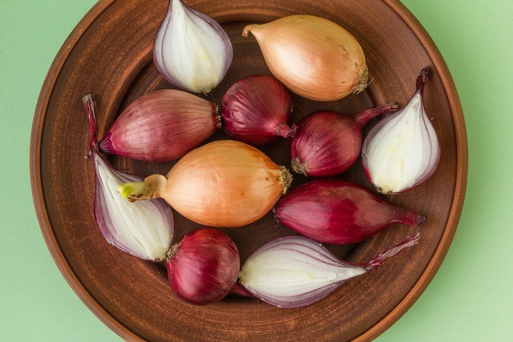 Fotó: Shutterstock