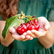 Fotó: Shutterstock