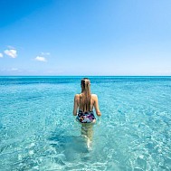 Fotó: Shutterstock
