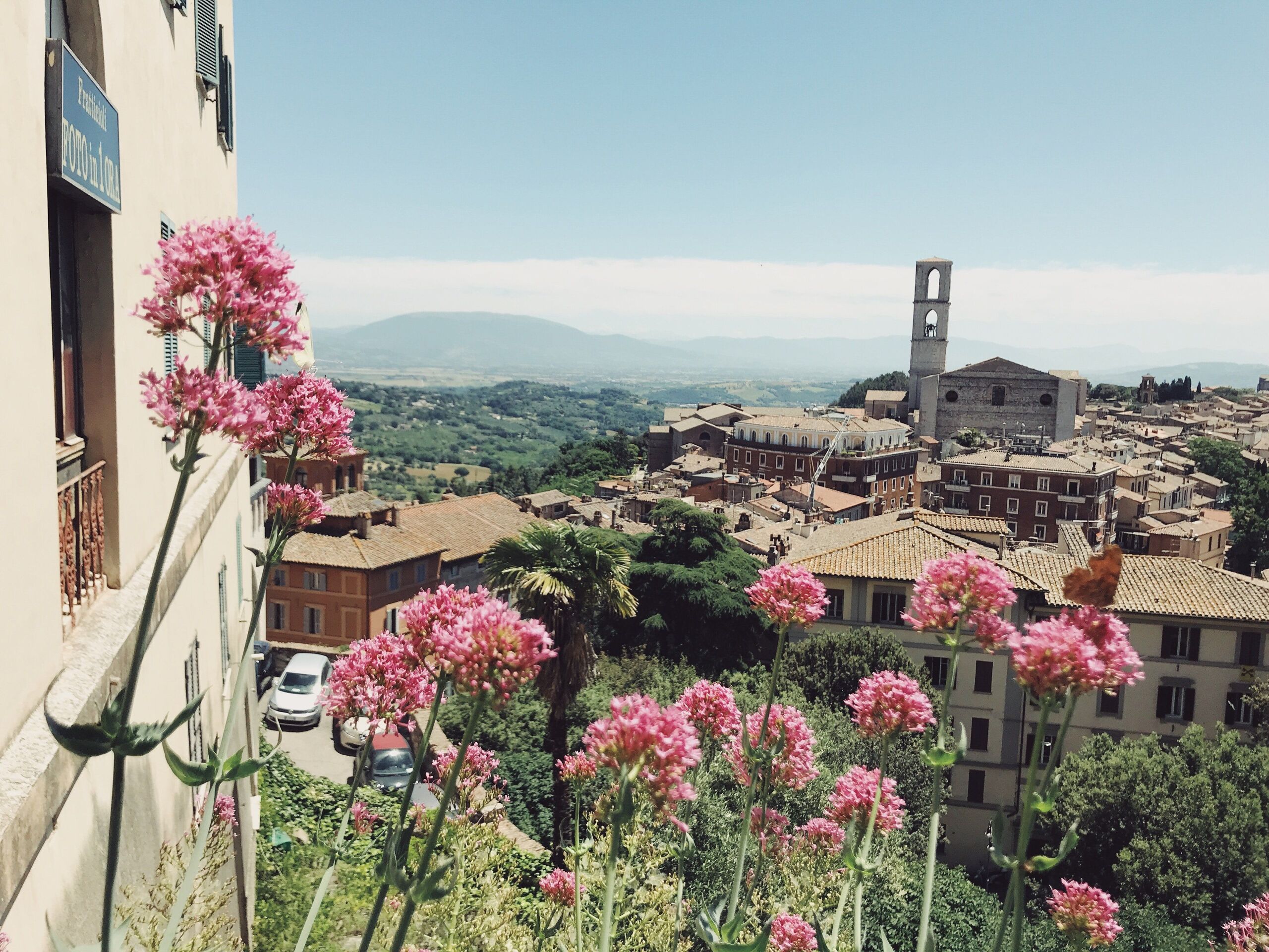 nine koepfer/Unsplash