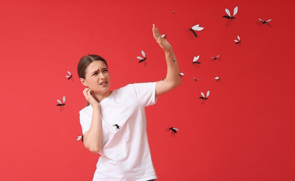 Kép: Shutterstock