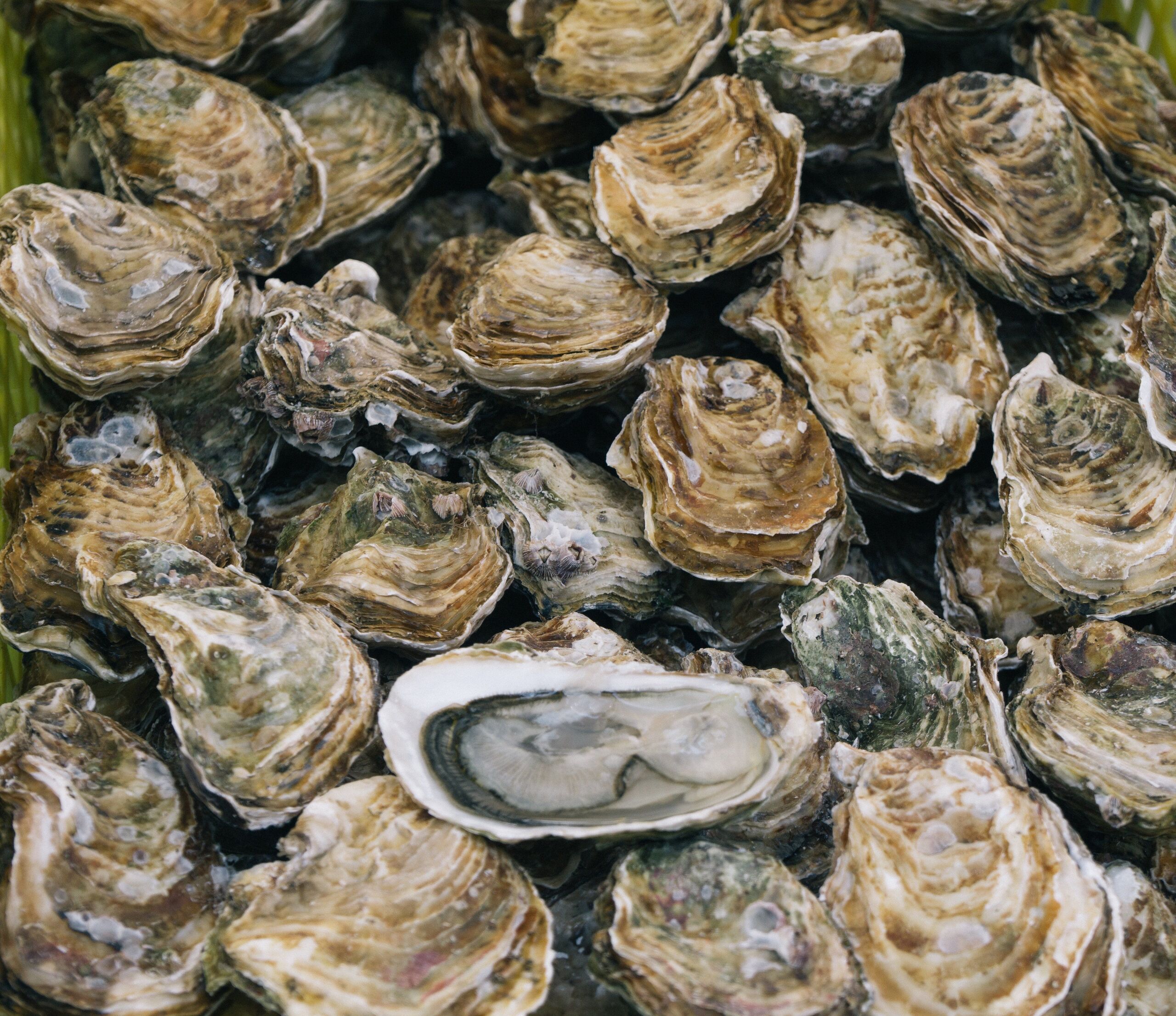 Ben Stern/Unsplash