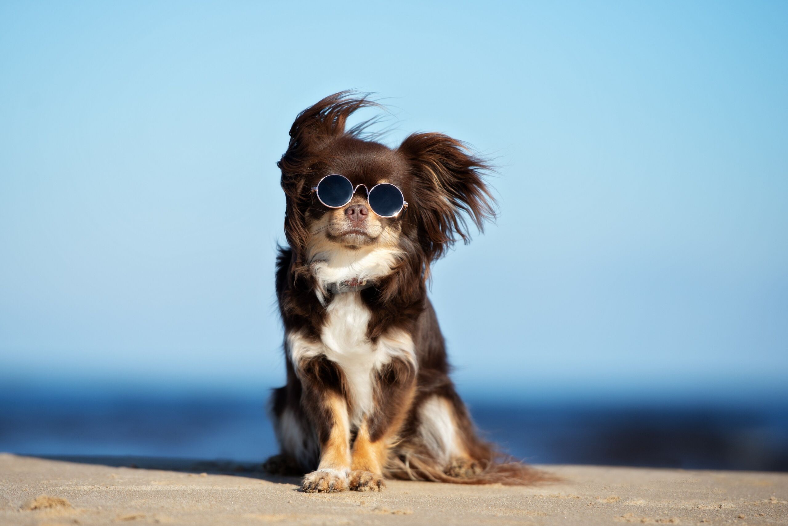 Shutterstock
