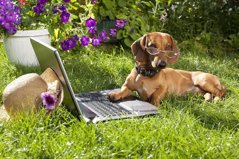 Fotó: Shutterstock