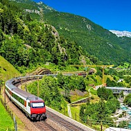 Fot&oacute;: Shutterstock