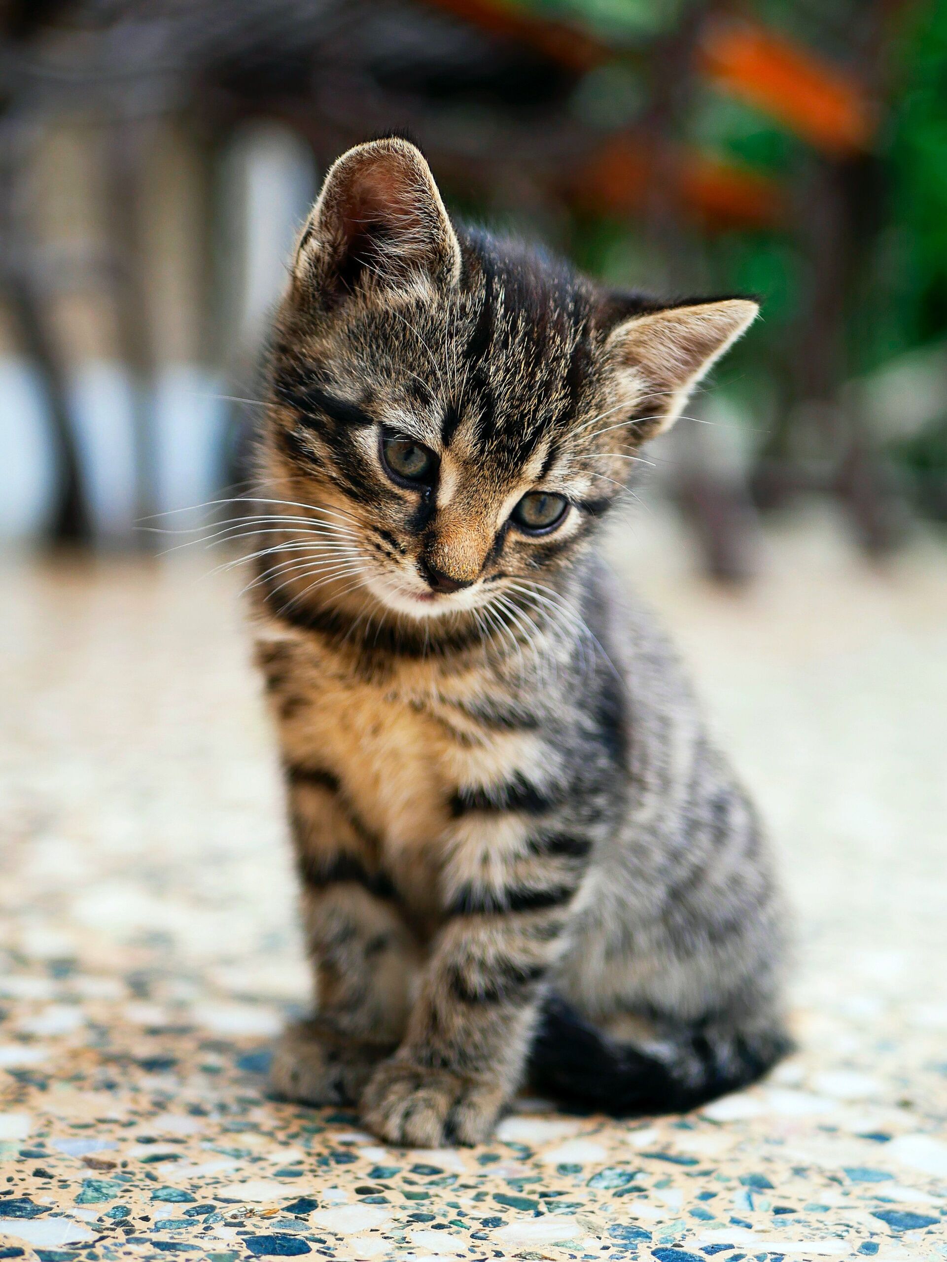 Edgar/Unsplash