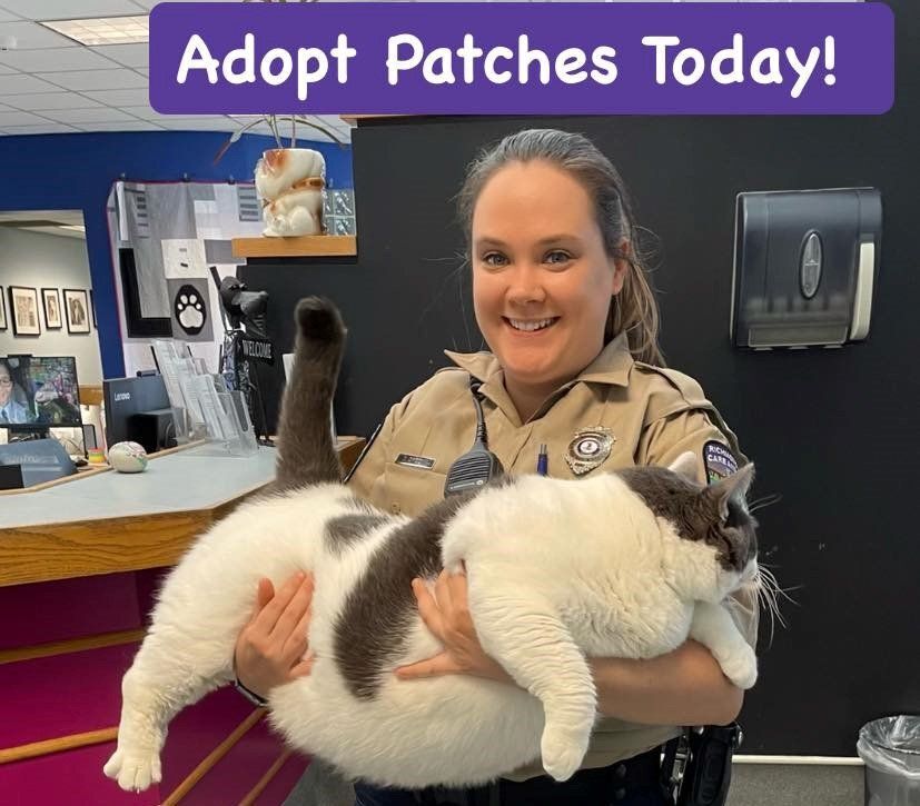 Facebook/Richmond Animal Care and Control